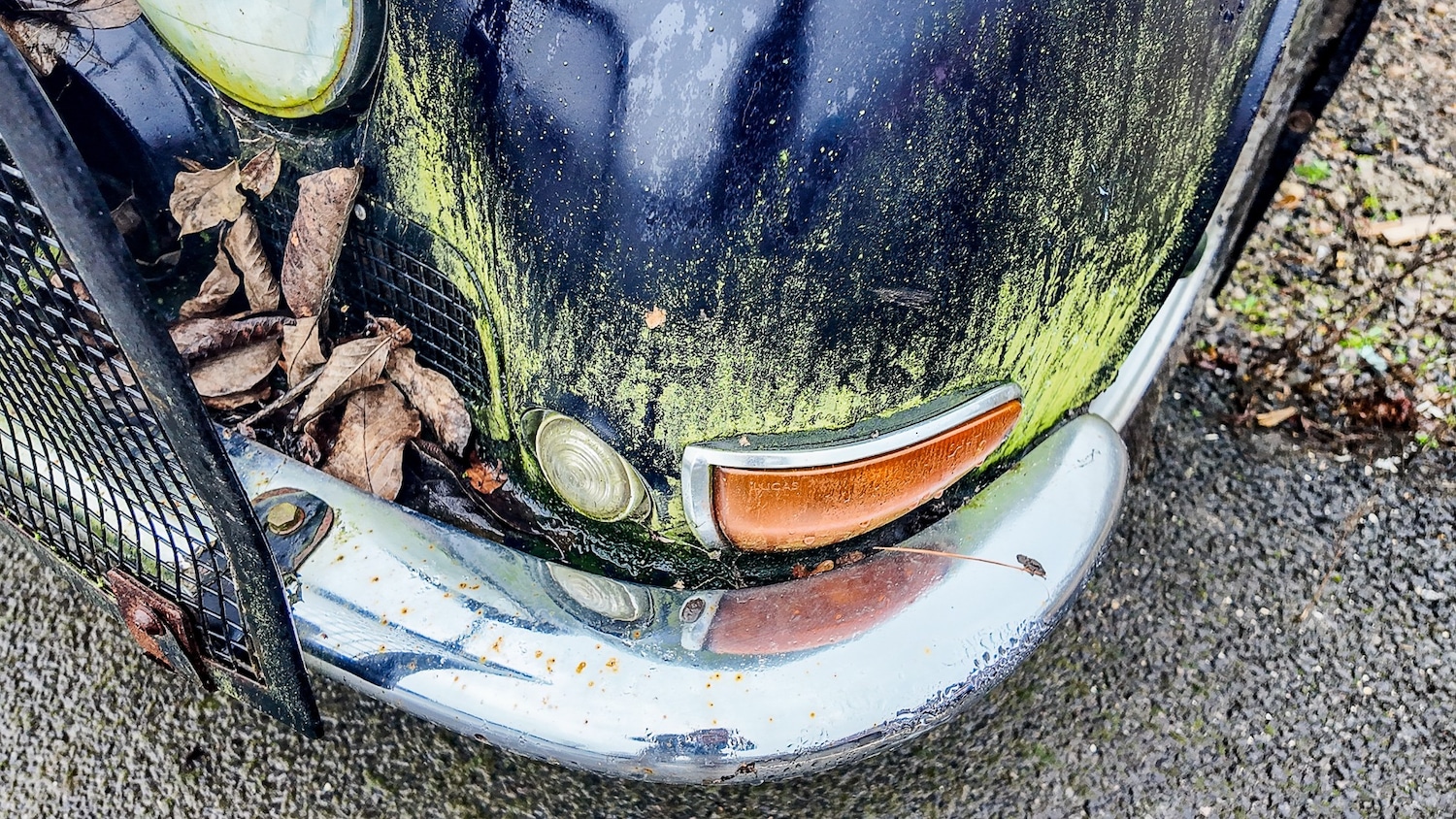 Used Jaguar S-Type for sale - 77581595: Photo 40