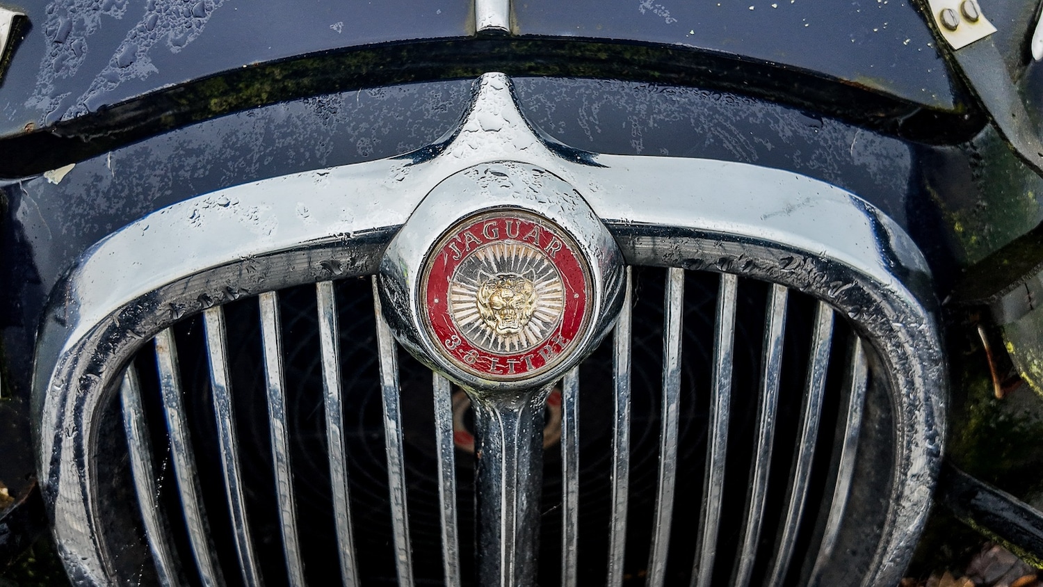 Used Jaguar S-Type for sale - 77581595: Photo 5