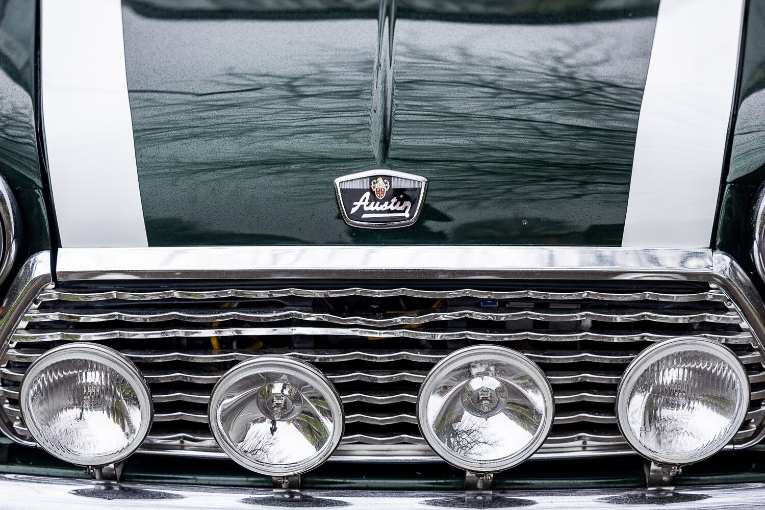 Used Austin Mini 1979 for sale - 77502767: Photo 29