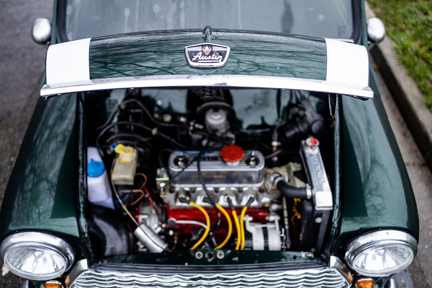 Used Austin Mini 1979 for sale - 77502767: Photo 51