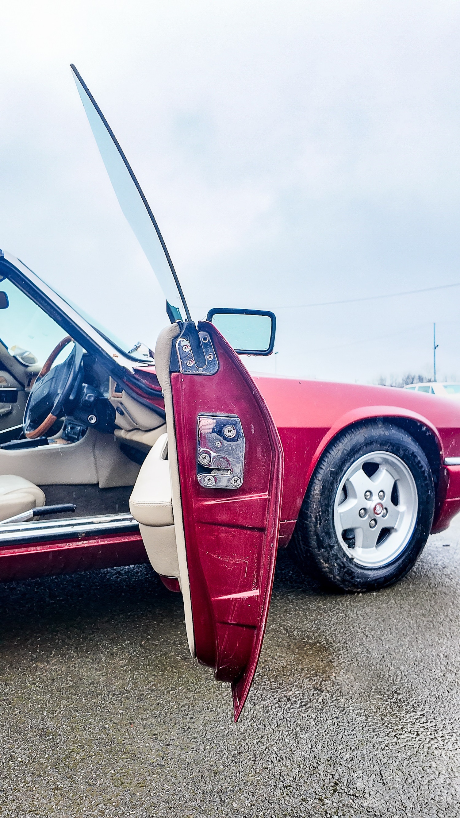 Used Jaguar XJS 1993 for sale - 77591456: Photo 13