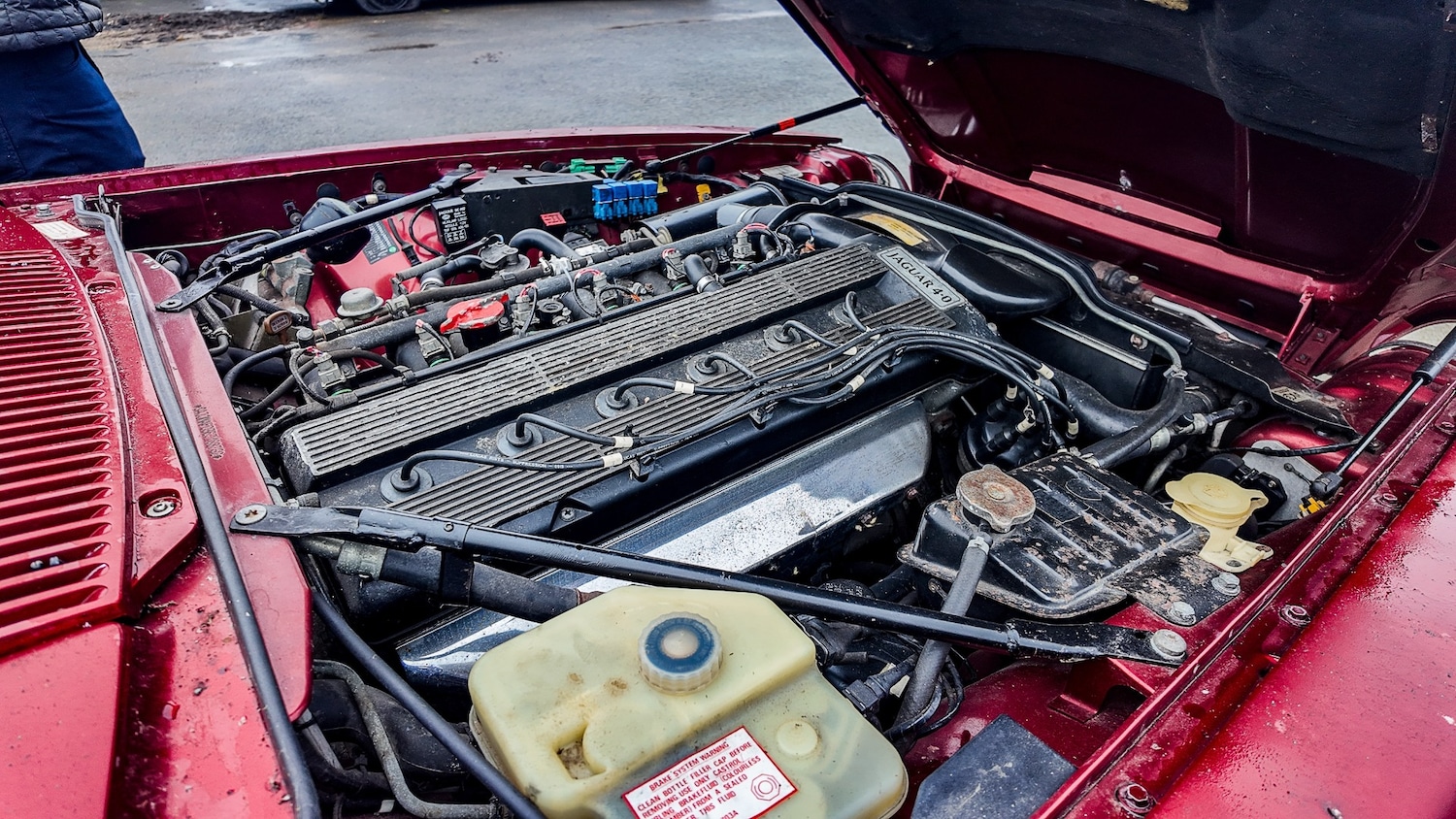 Used Jaguar XJS 1993 for sale - 77591456: Photo 37