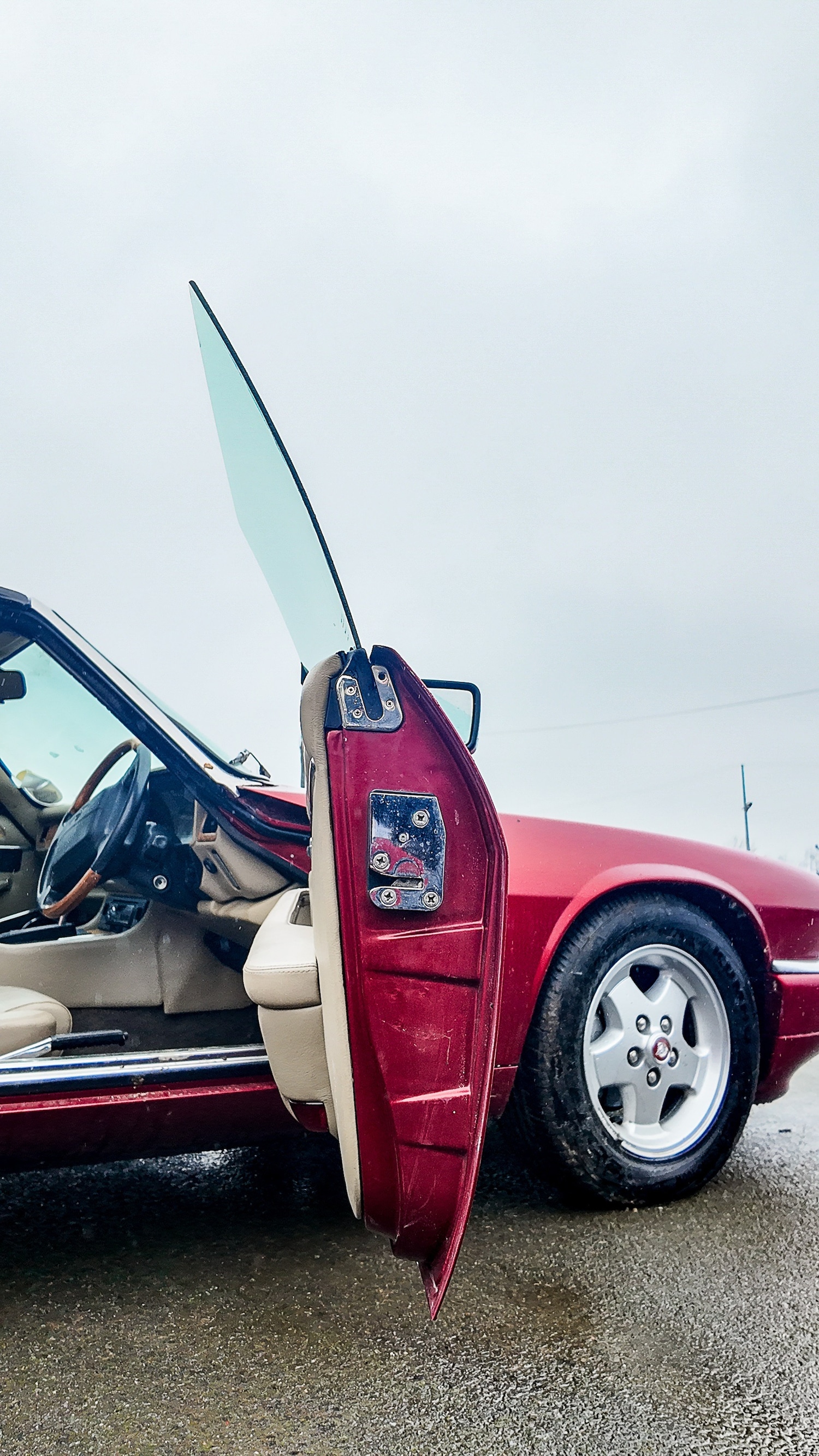 Used Jaguar XJS 1993 for sale - 77591456: Photo 5