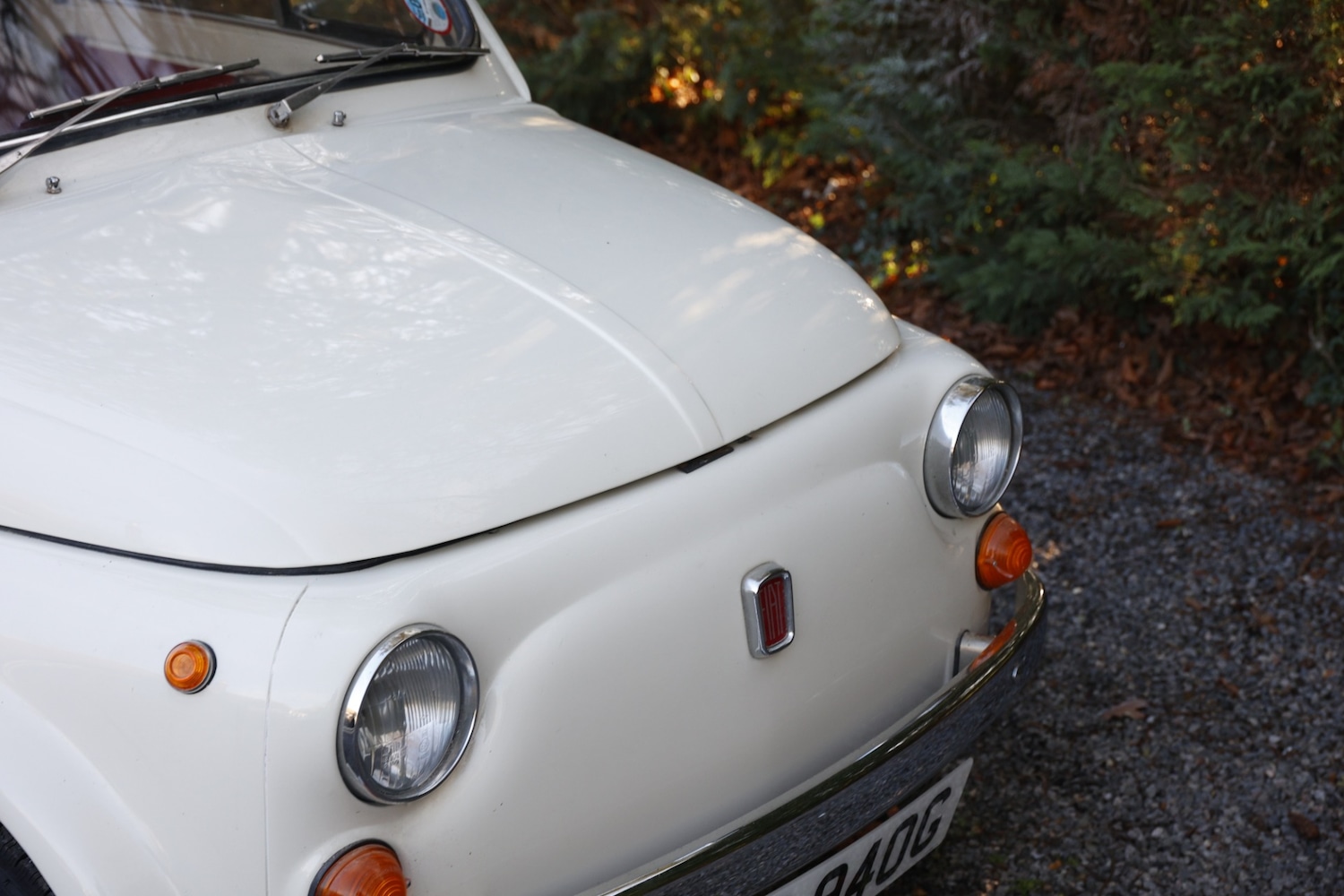 Used Fiat 500 1968 for sale - 77432683: Photo 13
