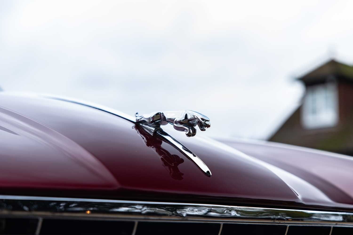 Used Jaguar XJS 1992 for sale - 76557122: Photo 12