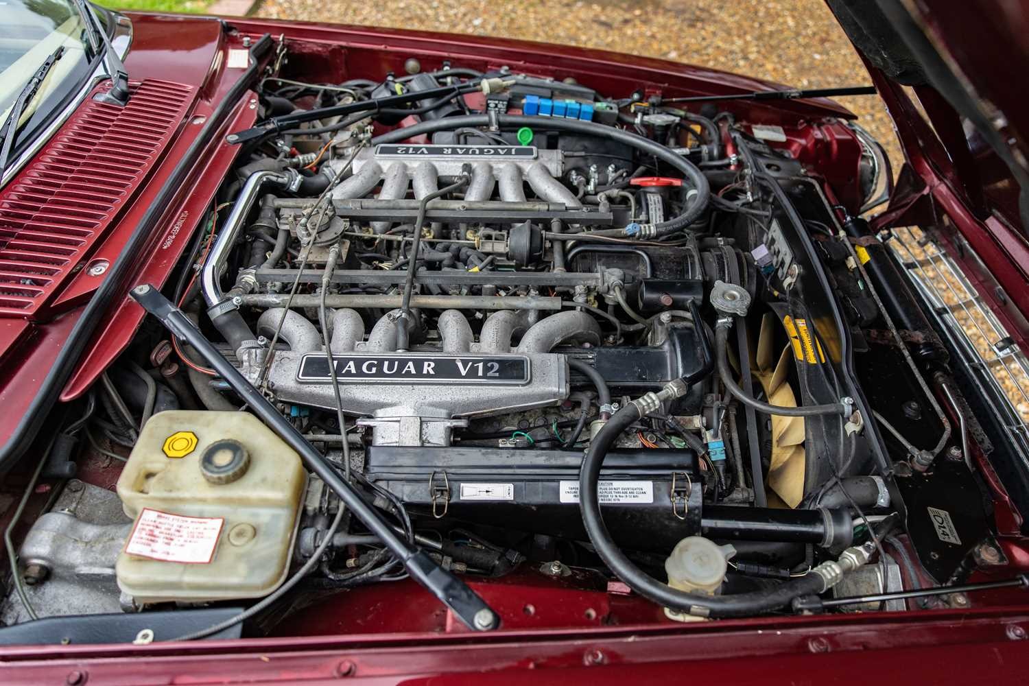 Used Jaguar XJS 1992 for sale - 76557122: Photo 40