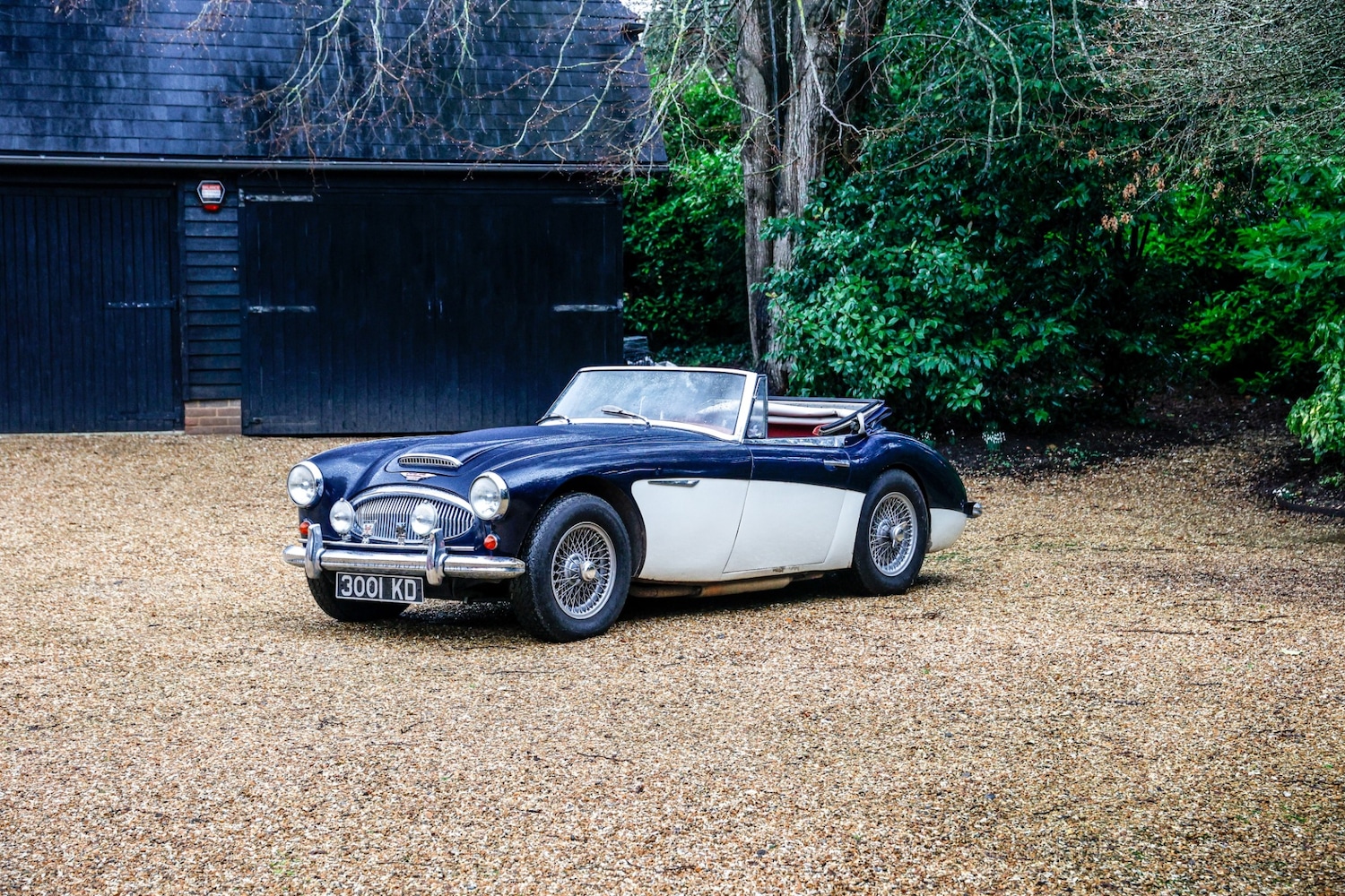 Used Austin Healey 1962 for sale - 77530364: Photo 10