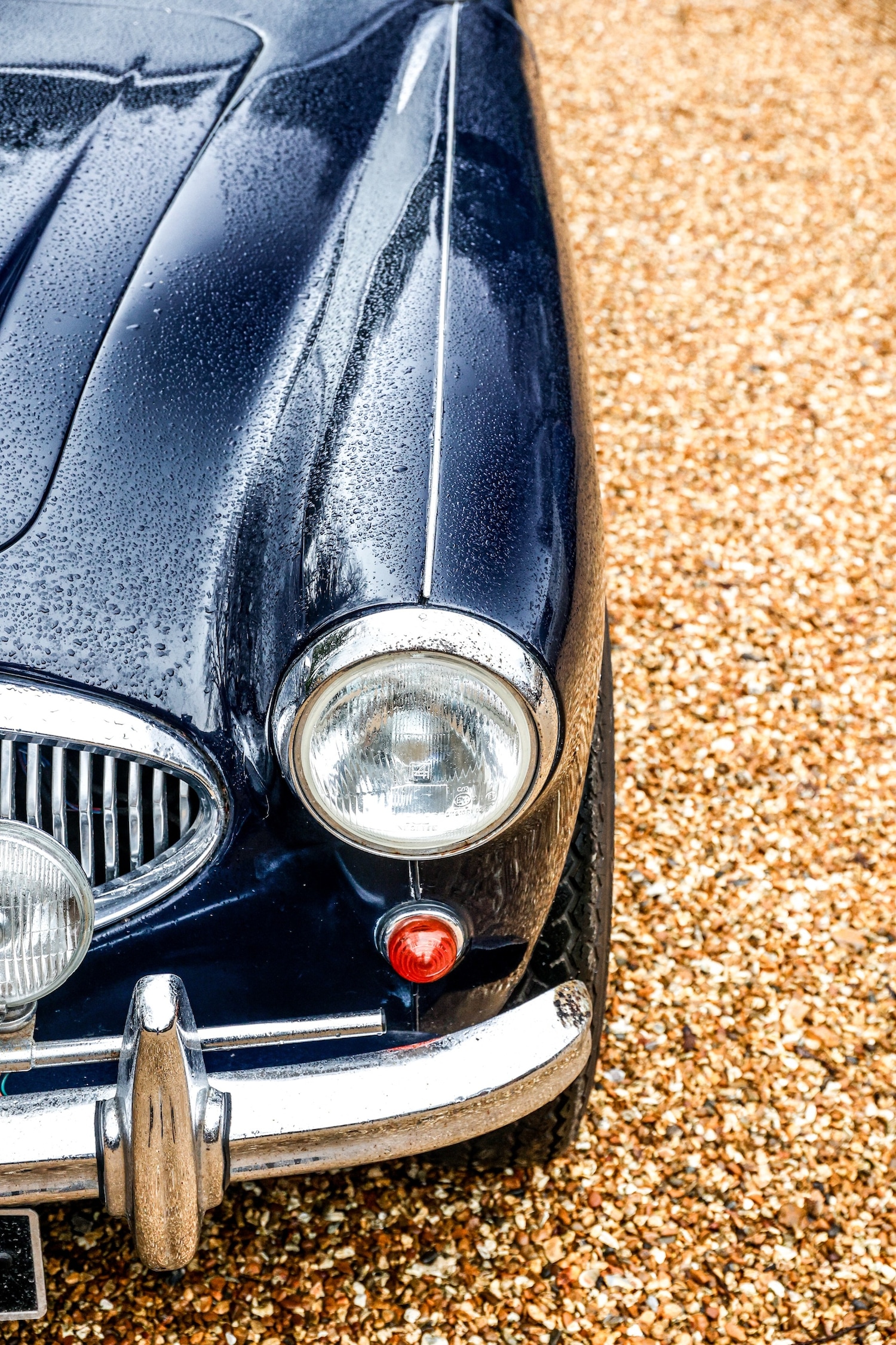 Used Austin Healey 1962 for sale - 77530364: Photo 12