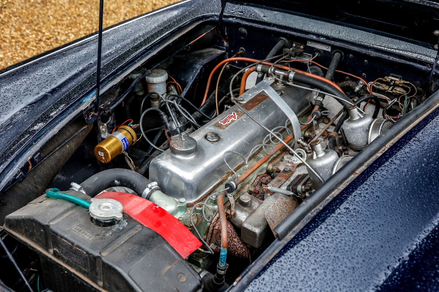 Used Austin Healey 1962 for sale - 77530364: Photo 22