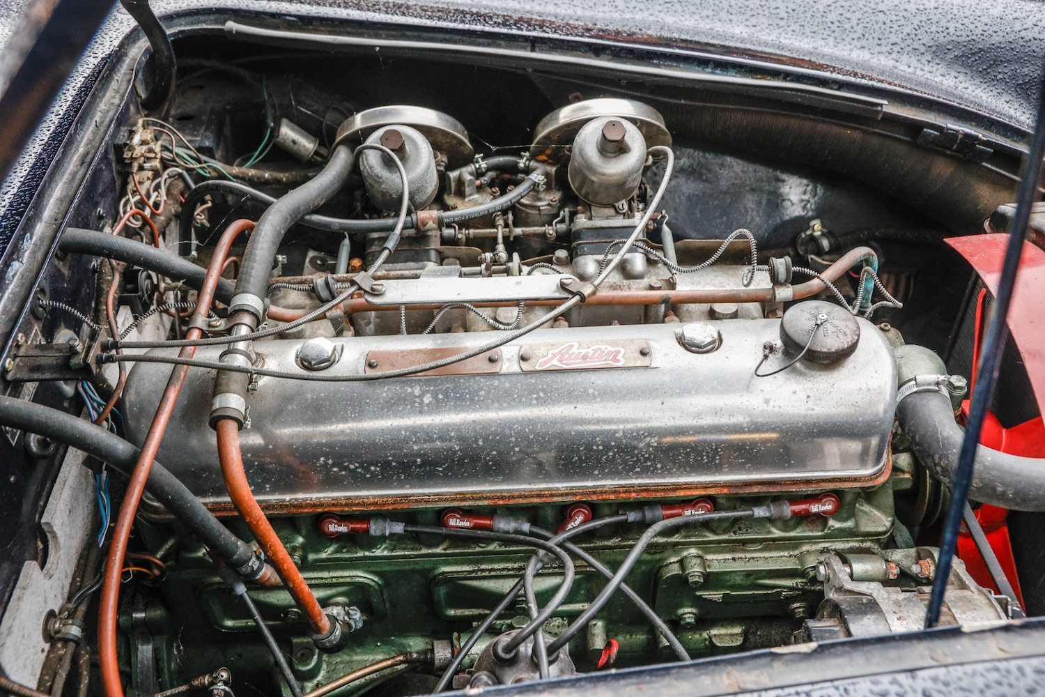 Used Austin Healey 1962 for sale - 77530364: Photo 23