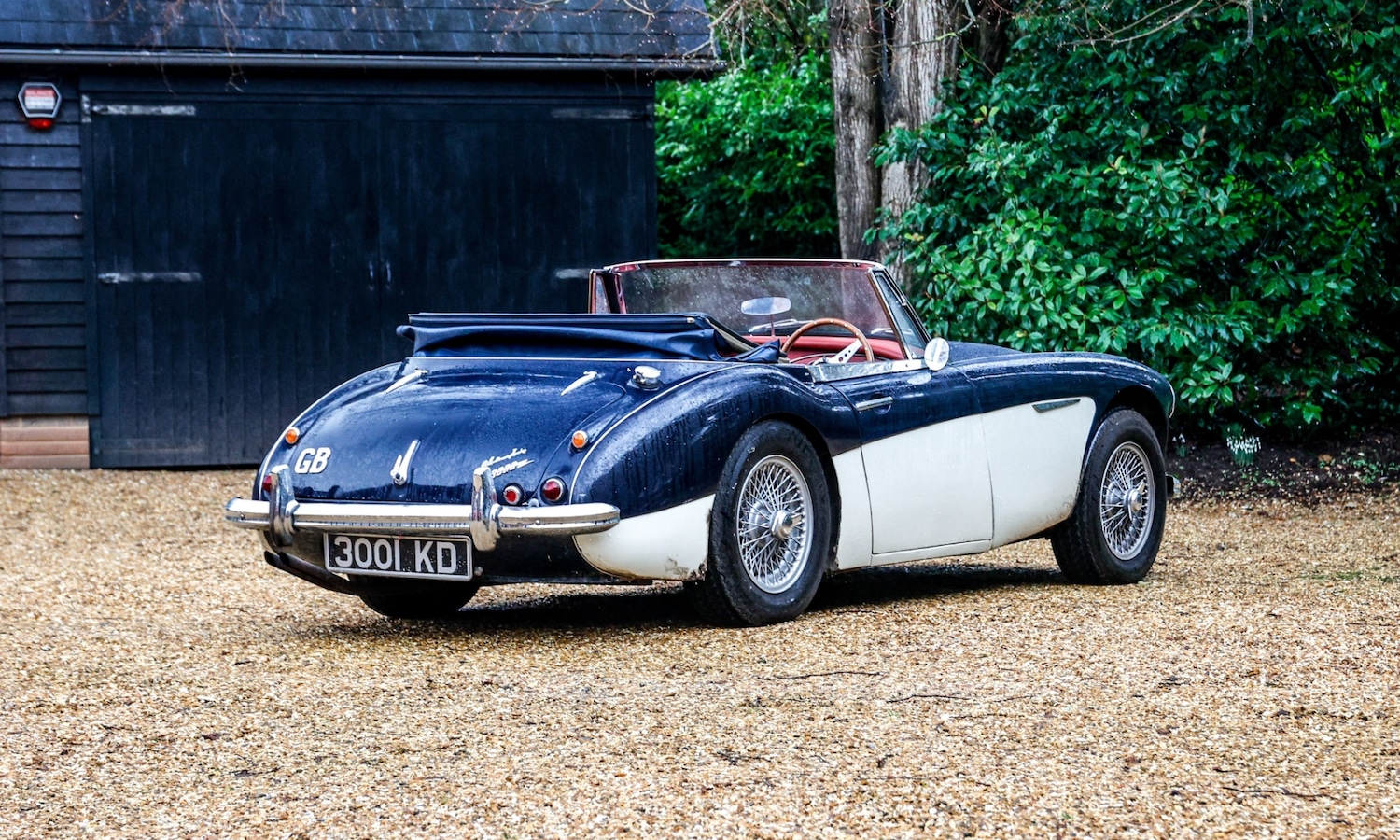 Used Austin Healey 1962 for sale - 77530364: Photo 3