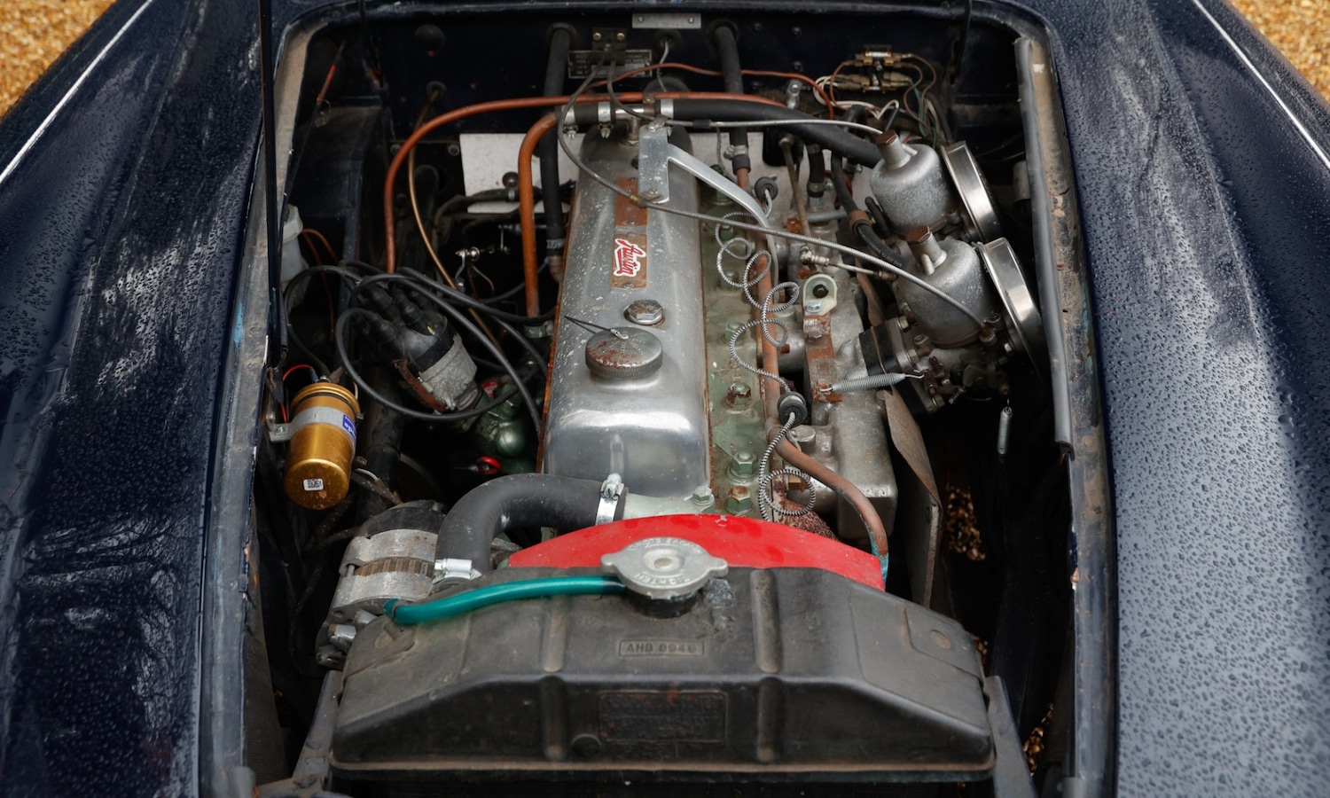 Used Austin Healey 1962 for sale - 77530364: Photo 5