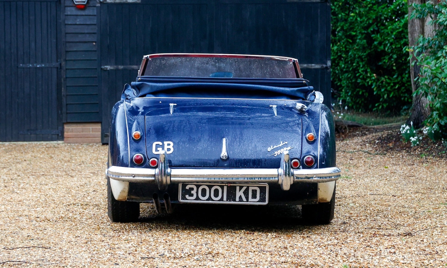 Used Austin Healey 1962 for sale - 77530364: Photo 7