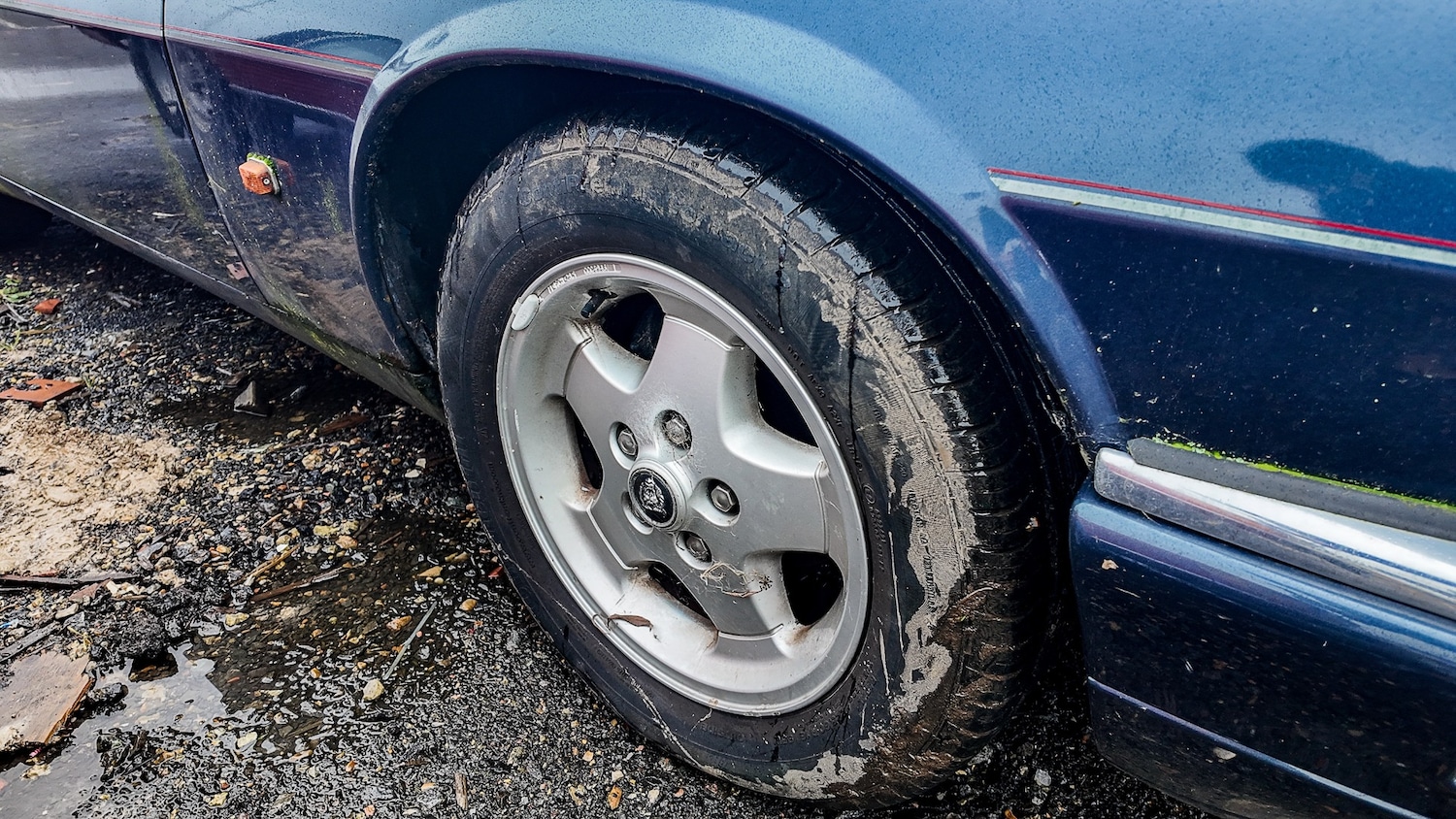 Used Jaguar XJS 1993 for sale - 77603466: Photo 11