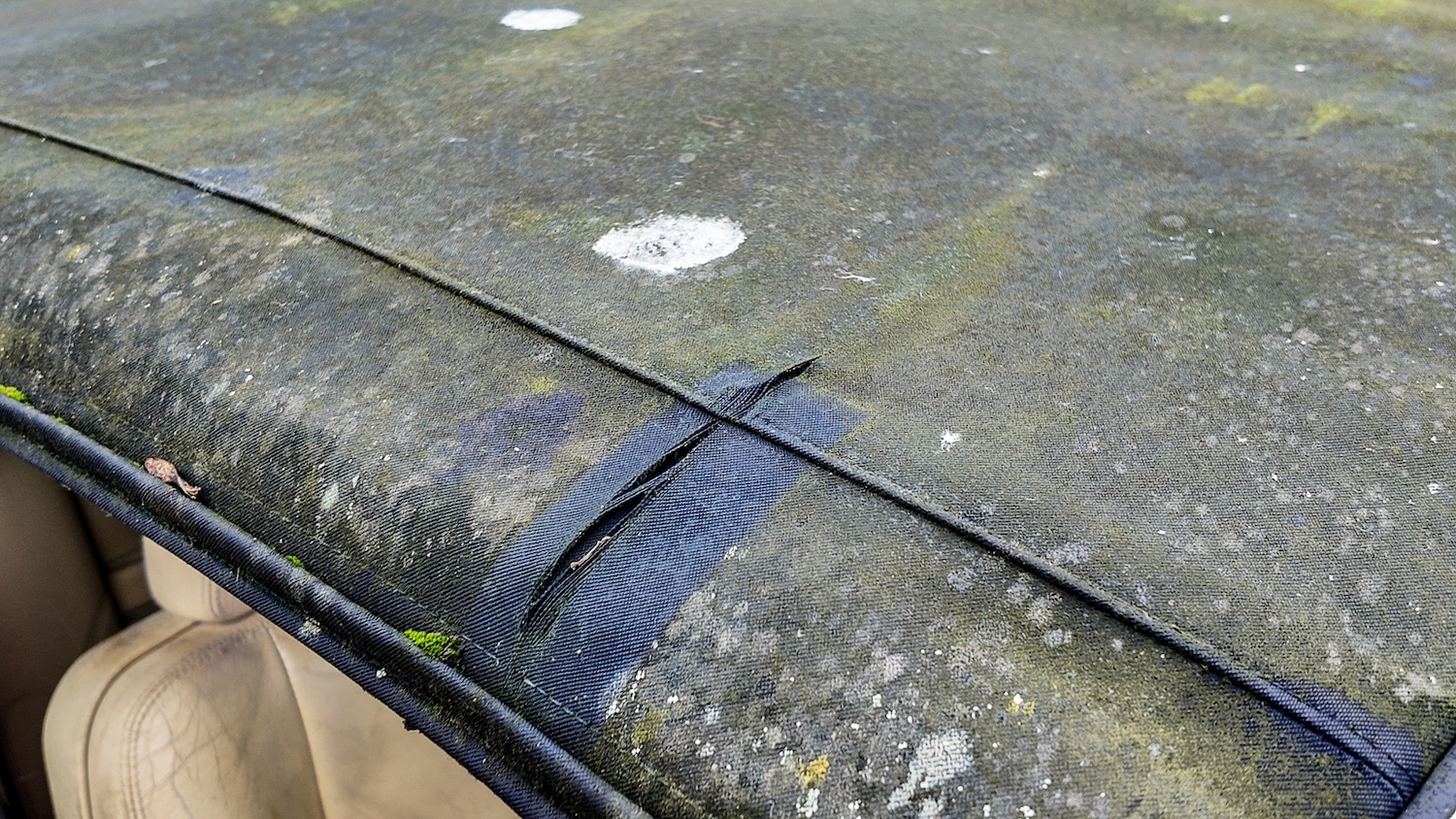 Used Jaguar XJS 1993 for sale - 77603466: Photo 13