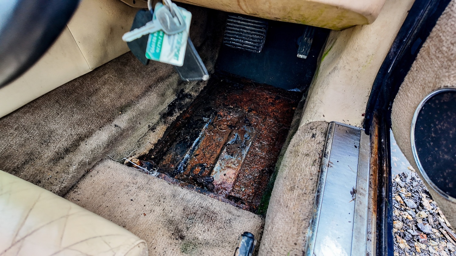 Used Jaguar XJS 1993 for sale - 77603466: Photo 15