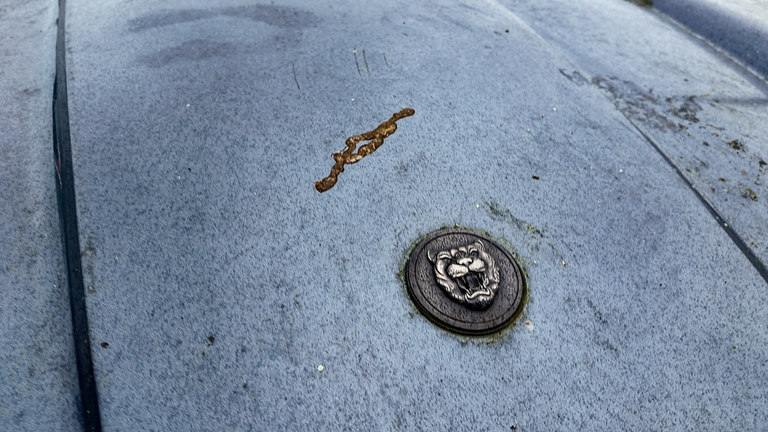 Used Jaguar XJS 1993 for sale - 77603466: Photo 16