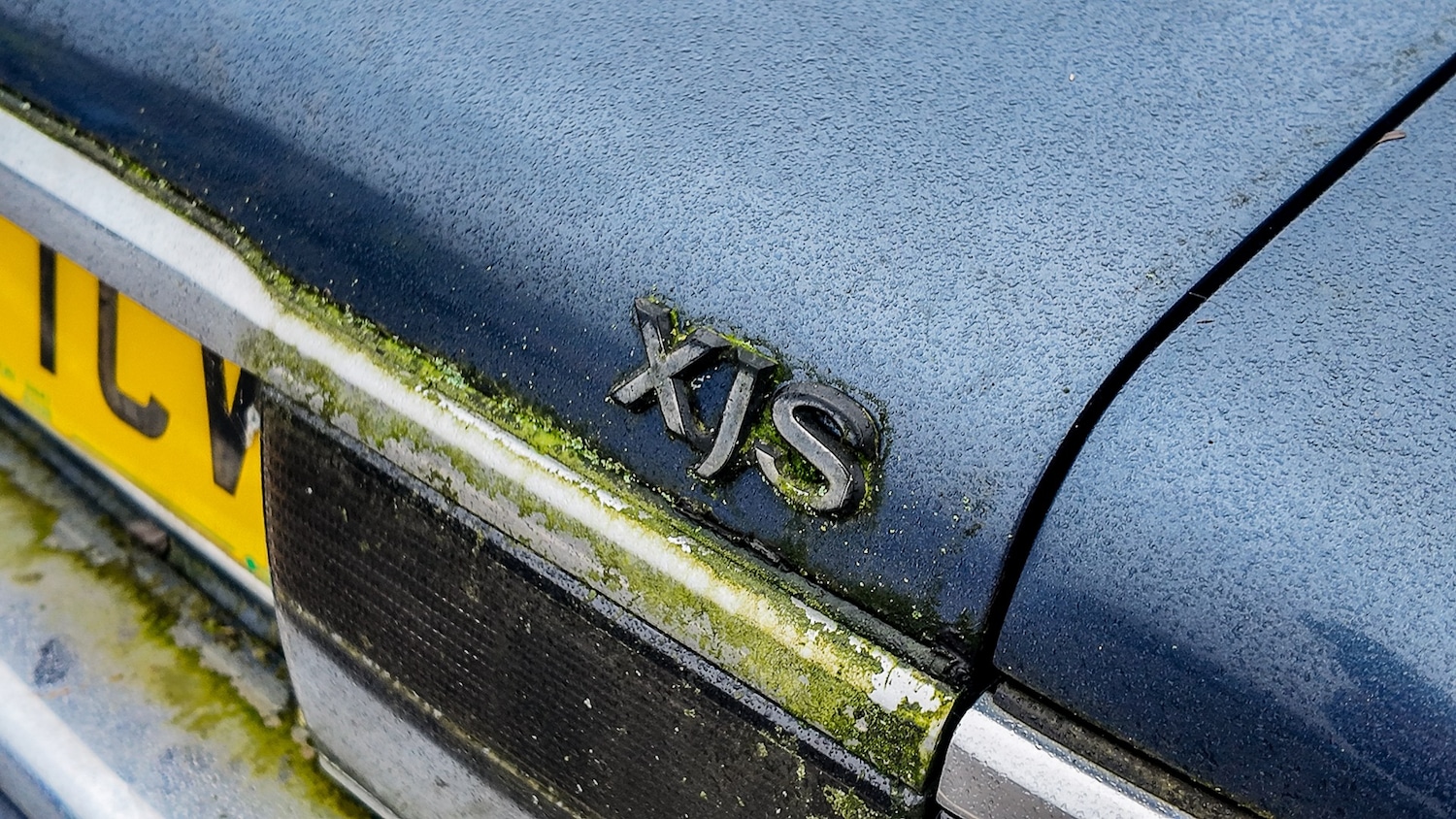 Used Jaguar XJS 1993 for sale - 77603466: Photo 21