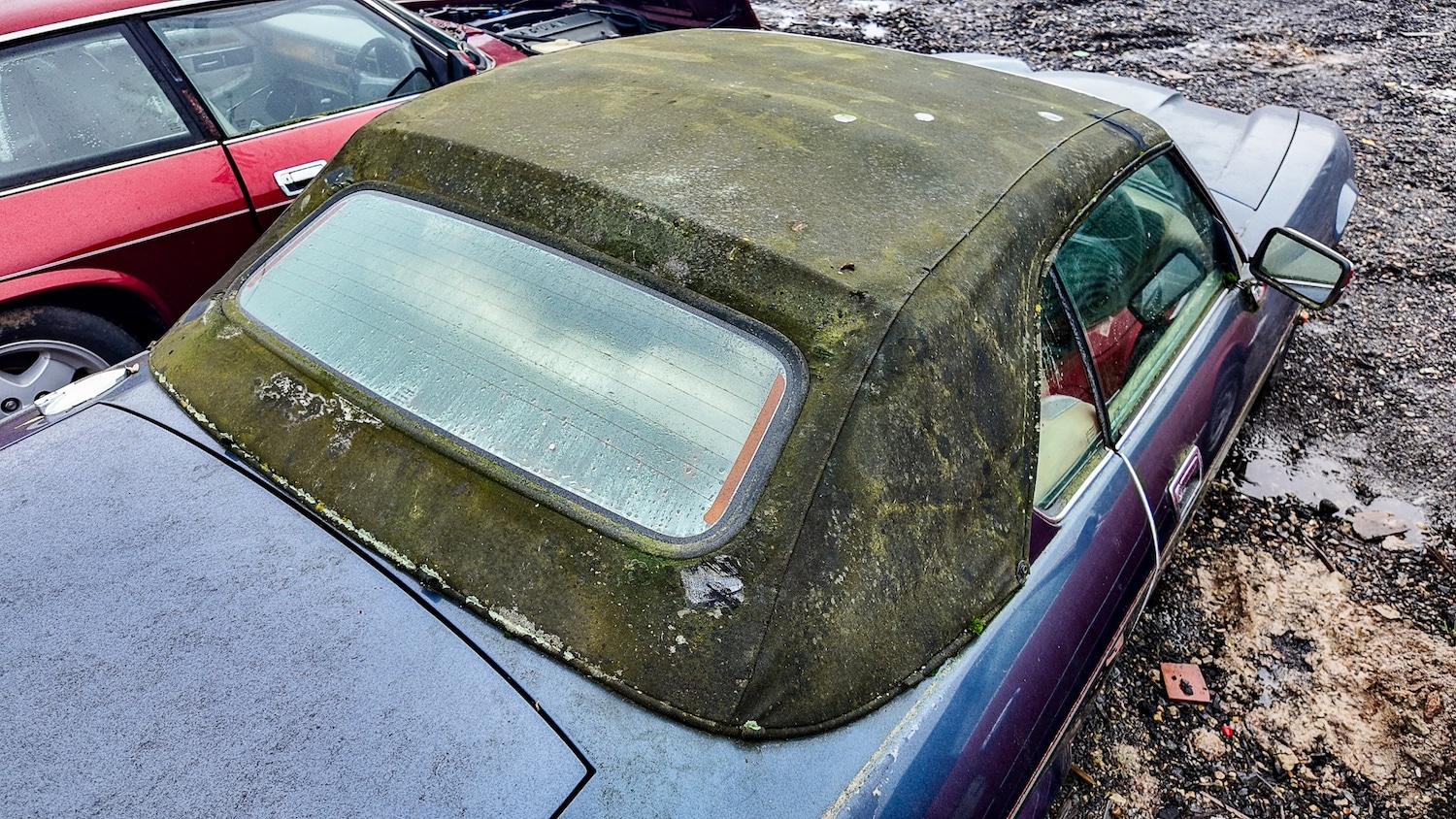 Used Jaguar XJS 1993 for sale - 77603466: Photo 25