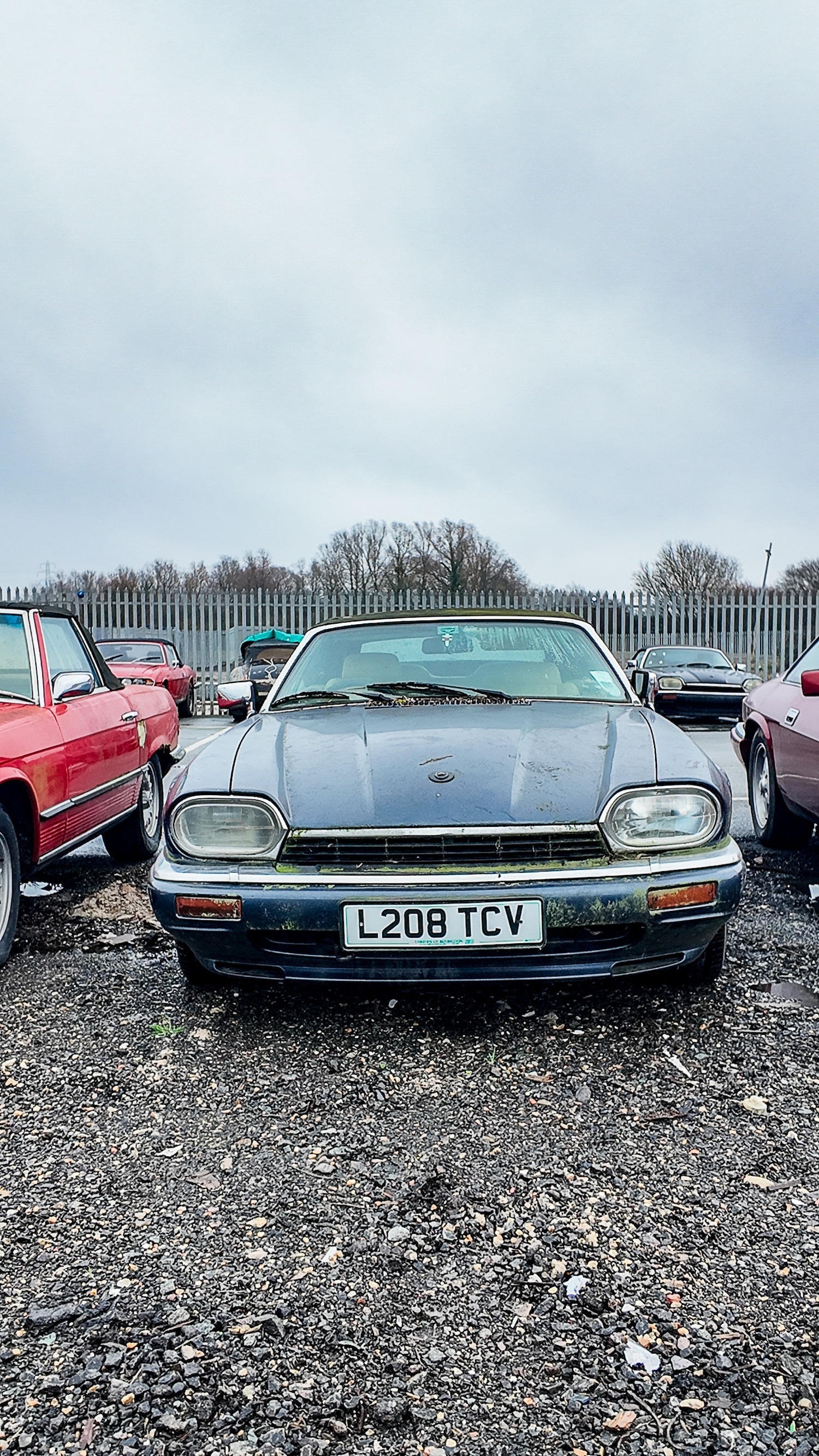 Used Jaguar XJS 1993 for sale - 77603466: Photo 29