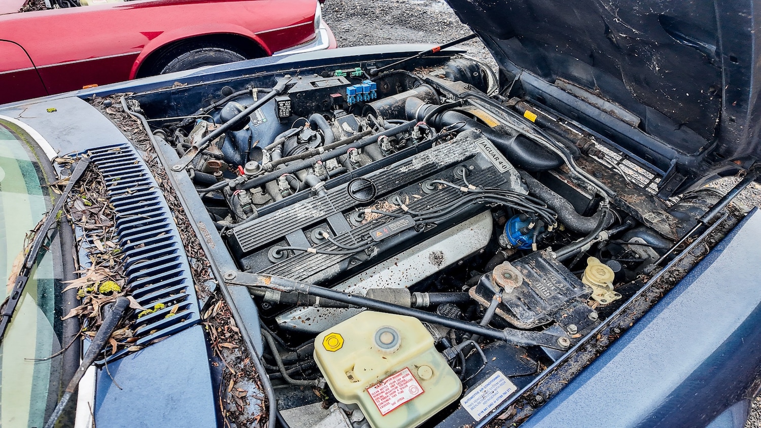 Used Jaguar XJS 1993 for sale - 77603466: Photo 30