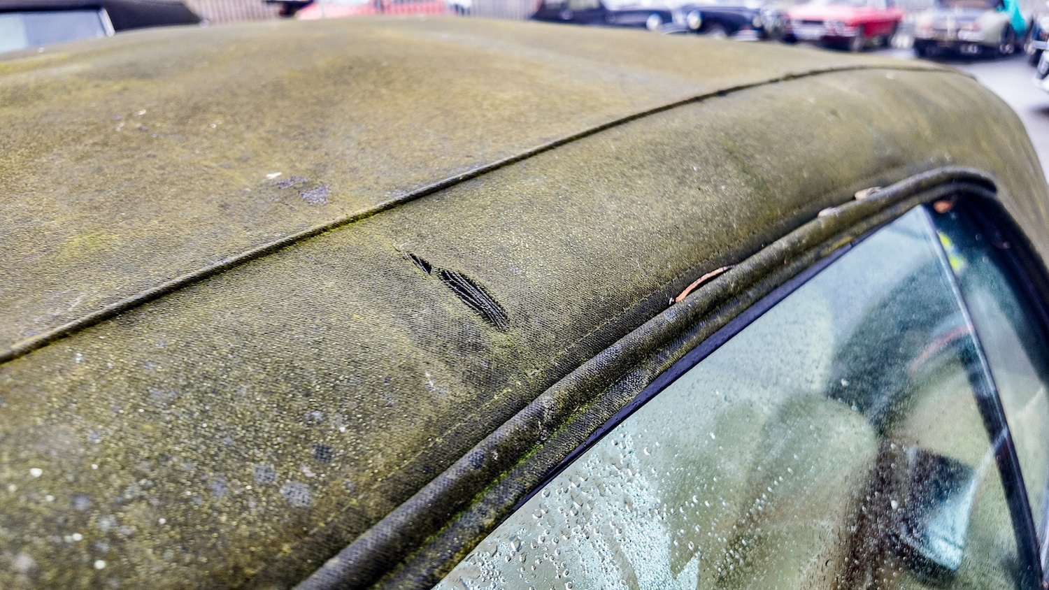 Used Jaguar XJS 1993 for sale - 77603466: Photo 32