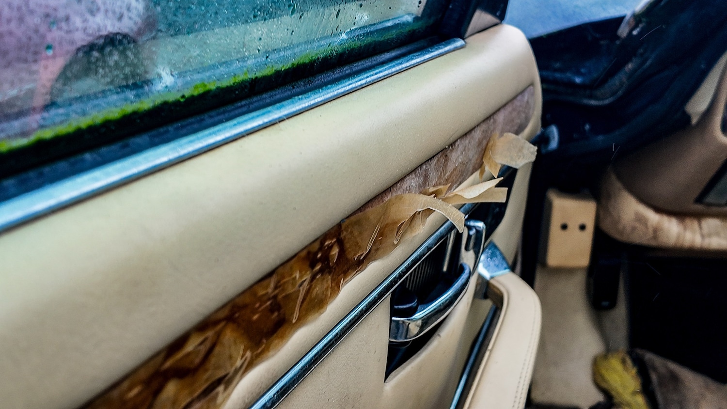 Used Jaguar XJS 1993 for sale - 77603466: Photo 33