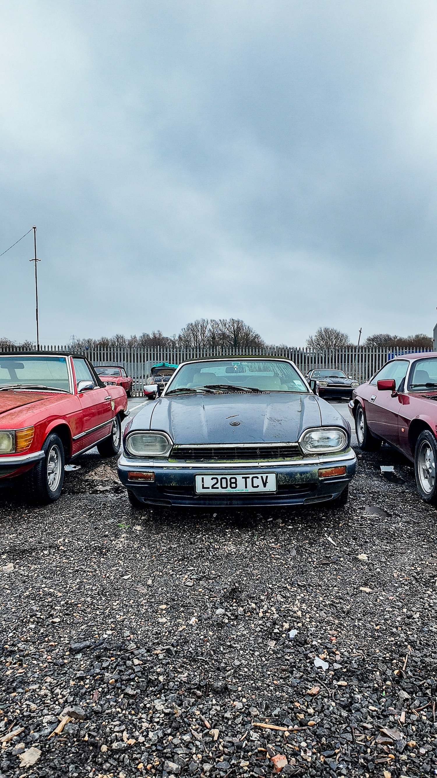 Used Jaguar XJS 1993 for sale - 77603466: Photo 36