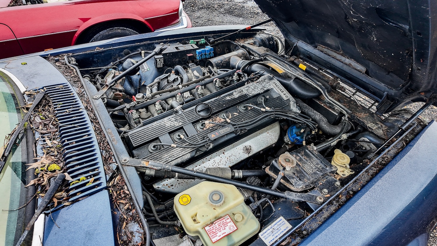 Used Jaguar XJS 1993 for sale - 77603466: Photo 4