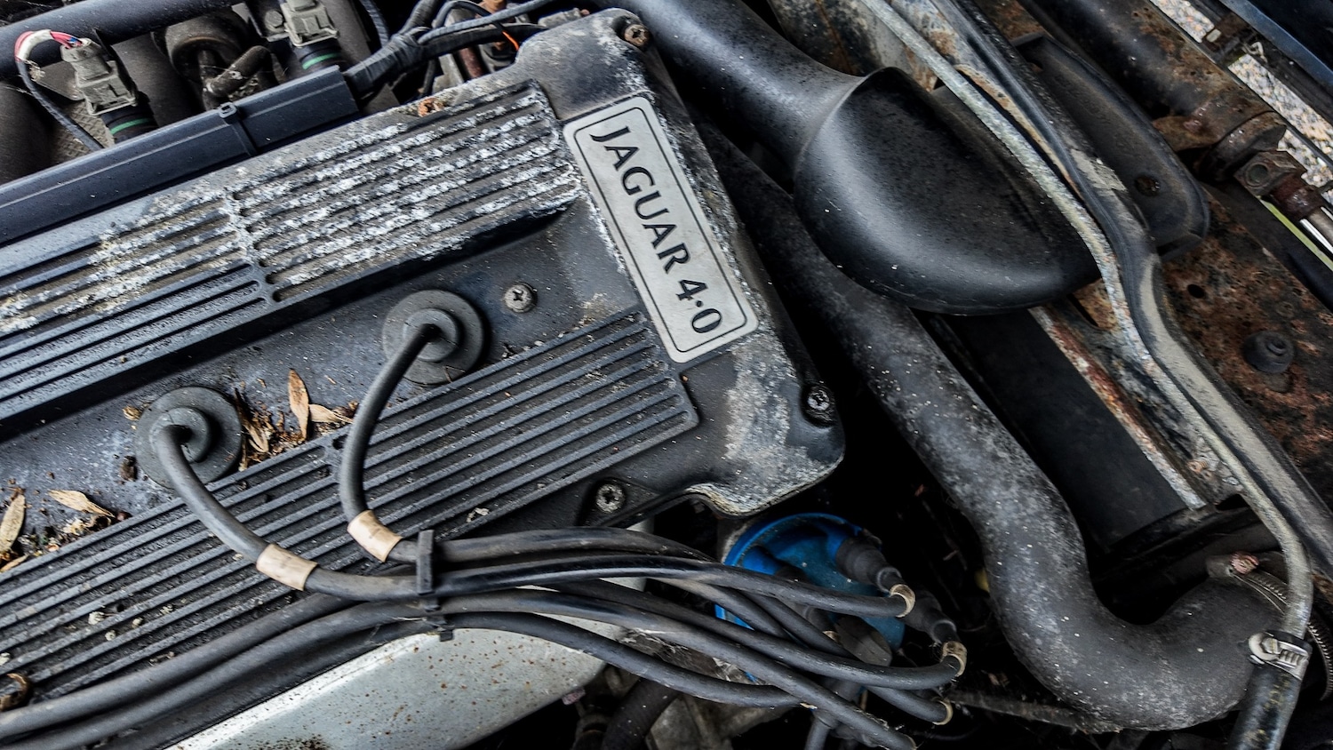 Used Jaguar XJS 1993 for sale - 77603466: Photo 40