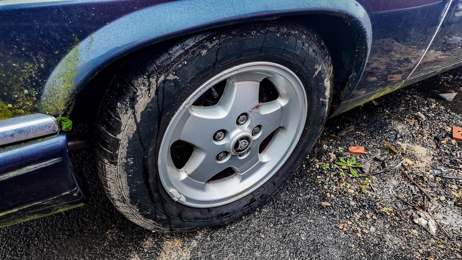 Used Jaguar XJS 1993 for sale - 77603466: Photo 42