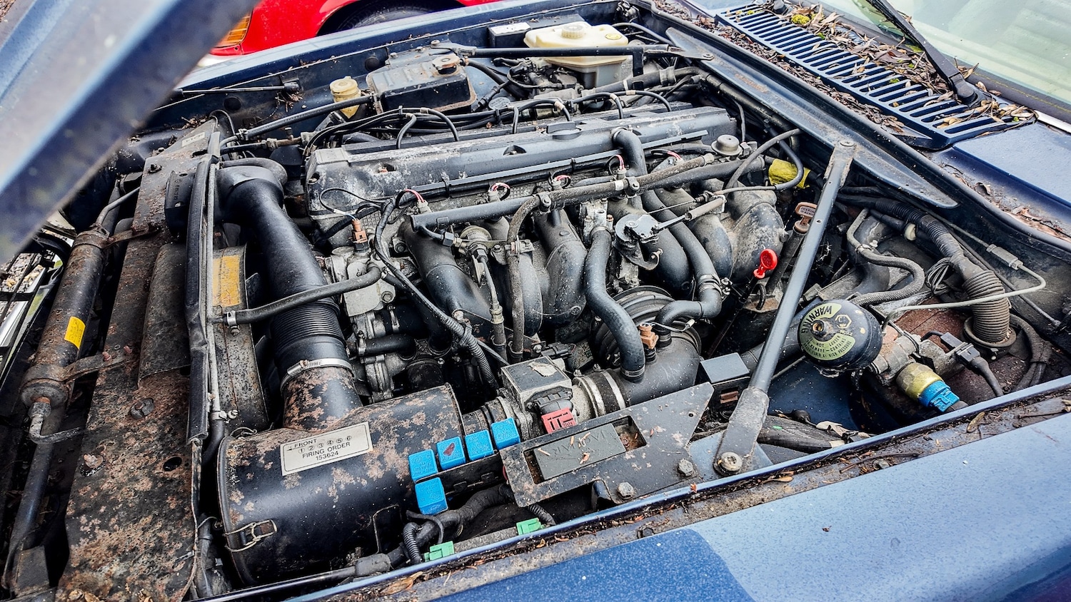 Used Jaguar XJS 1993 for sale - 77603466: Photo 7