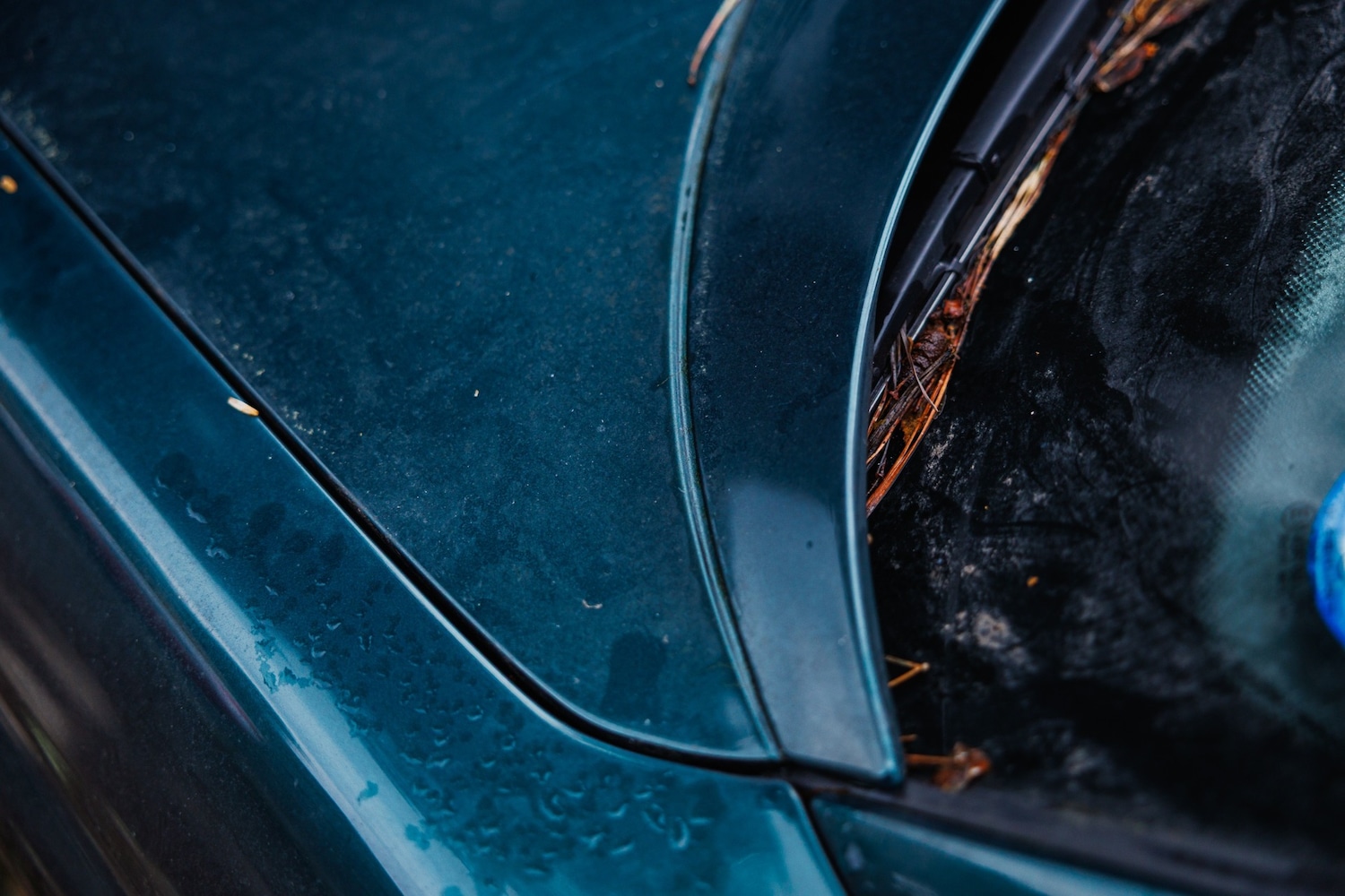 Used BMW 8 Series 1994 for sale - 77449681: Photo 16