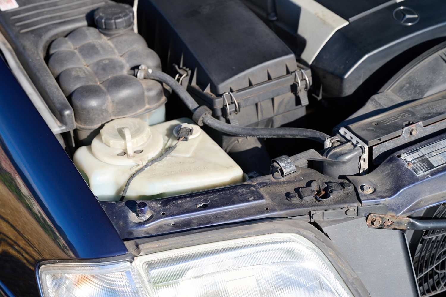 Used Mercedes-Benz S Class 1996 for sale - 76392181: Photo 59