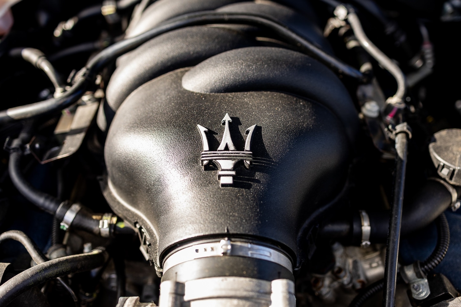 Used Maserati Quattroporte 2008 for sale - 77591472: Photo 59