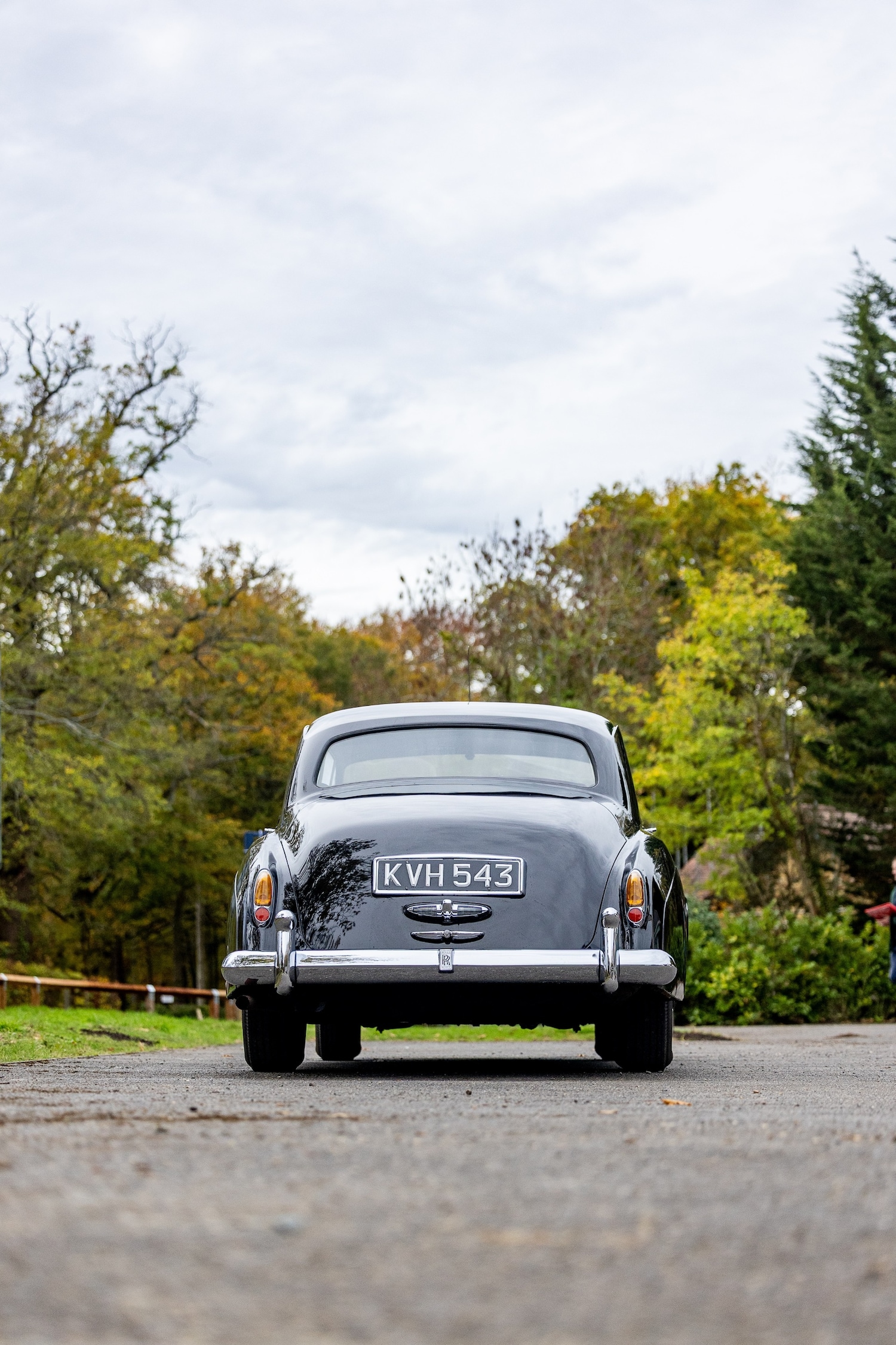 Used Rolls-Royce Silver Cloud 1956 for sale - 76413054: Photo 11