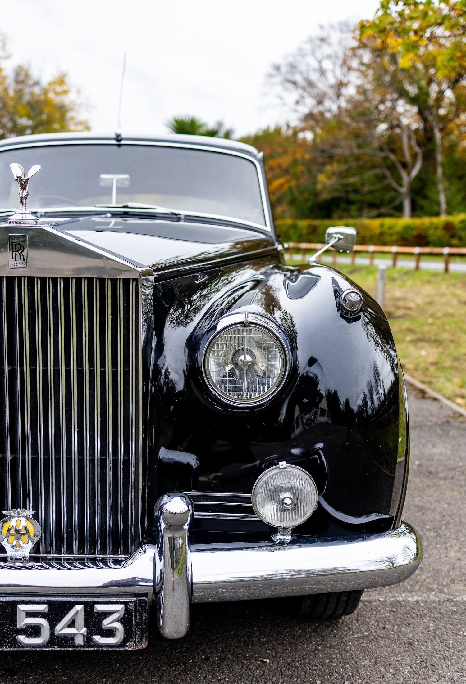 Used Rolls-Royce Silver Cloud 1956 for sale - 76413054: Photo 18