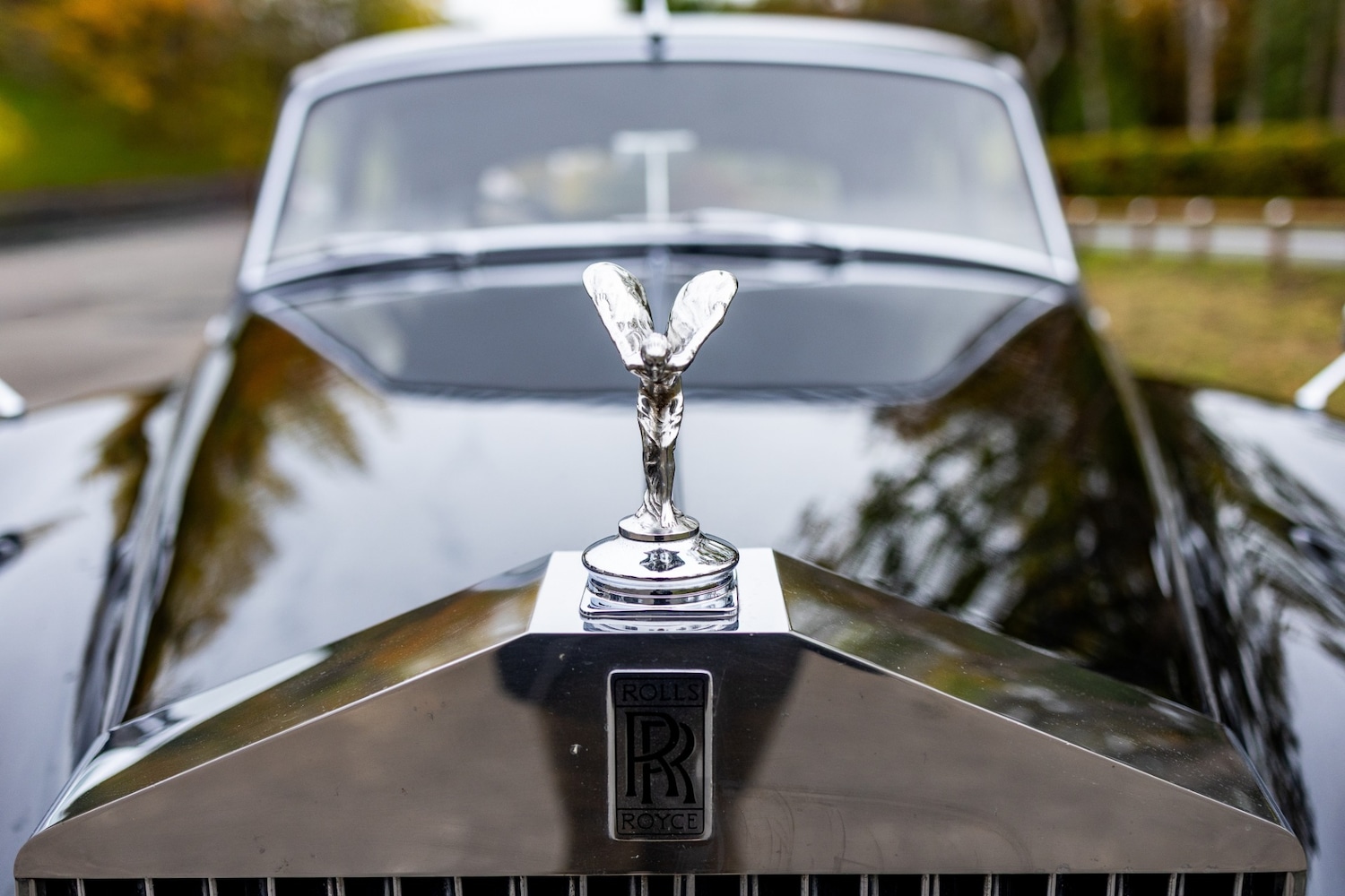 Used Rolls-Royce Silver Cloud 1956 for sale - 76413054: Photo 42