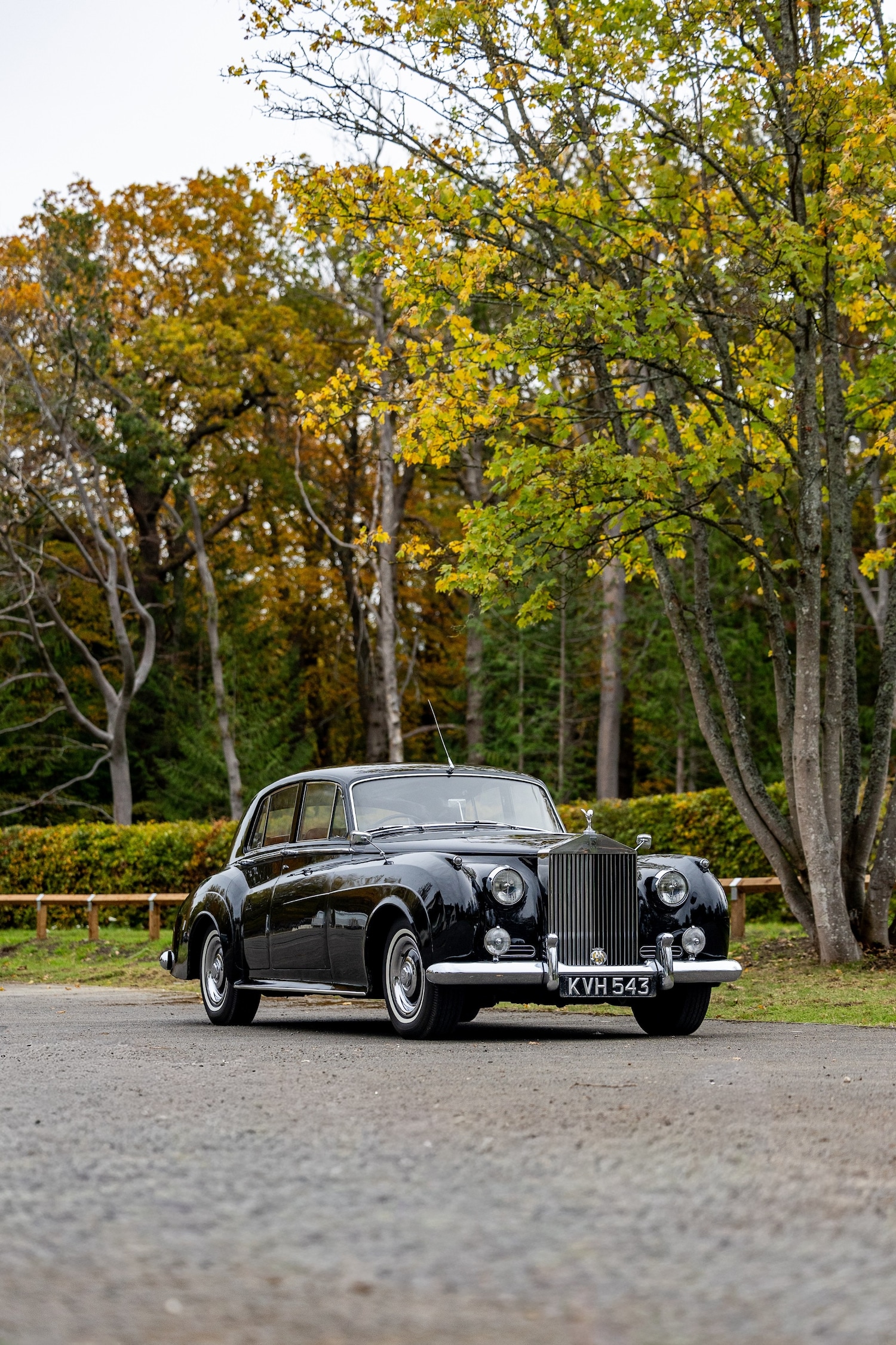 Used Rolls-Royce Silver Cloud 1956 for sale - 76413054: Photo 48
