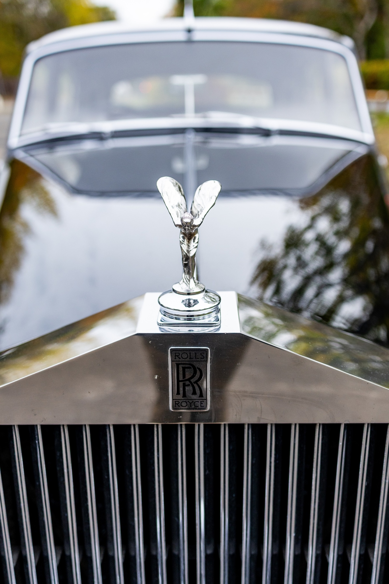 Used Rolls-Royce Silver Cloud 1956 for sale - 76413054: Photo 50