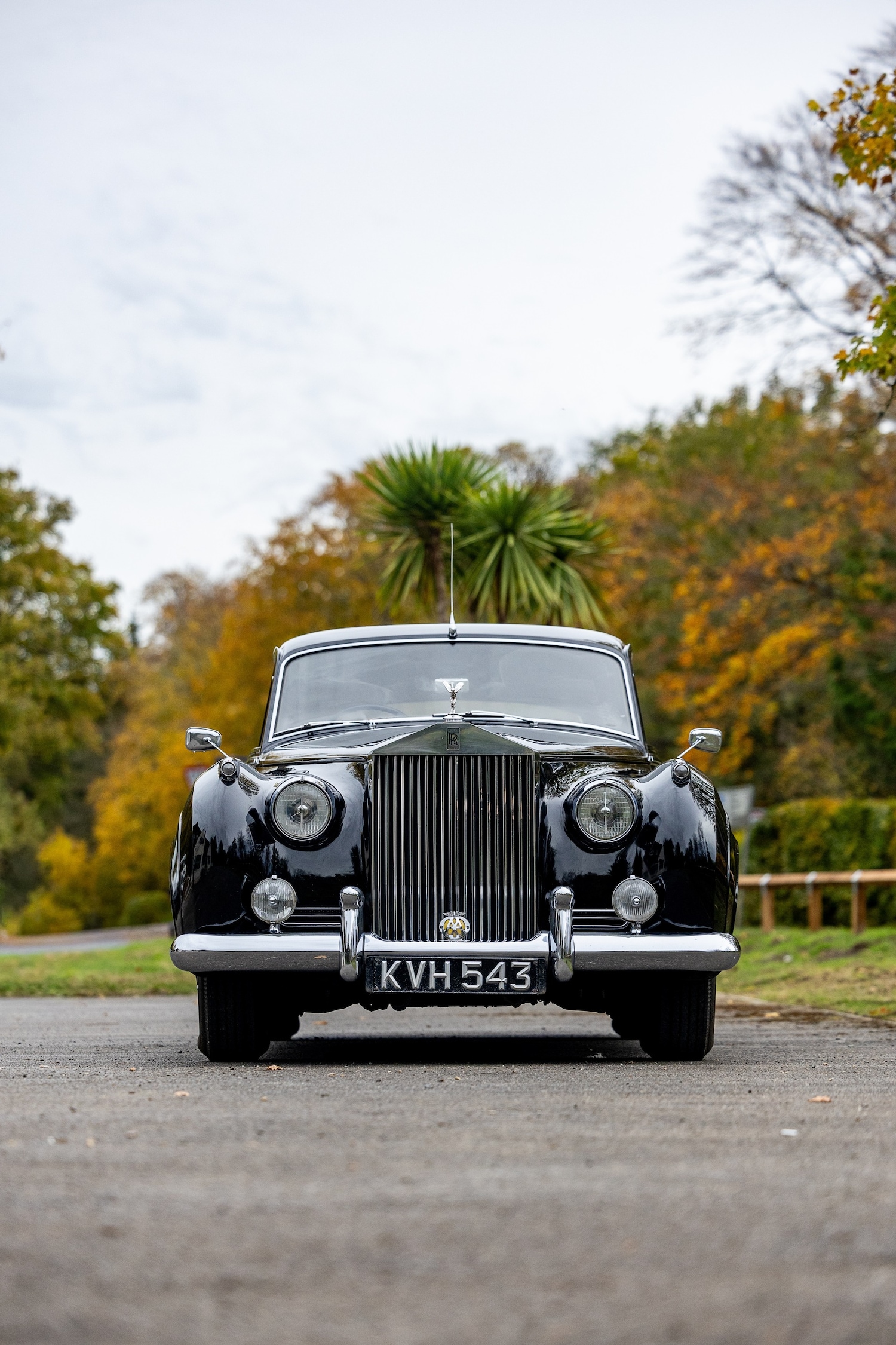 Used Rolls-Royce Silver Cloud 1956 for sale - 76413054: Photo 7