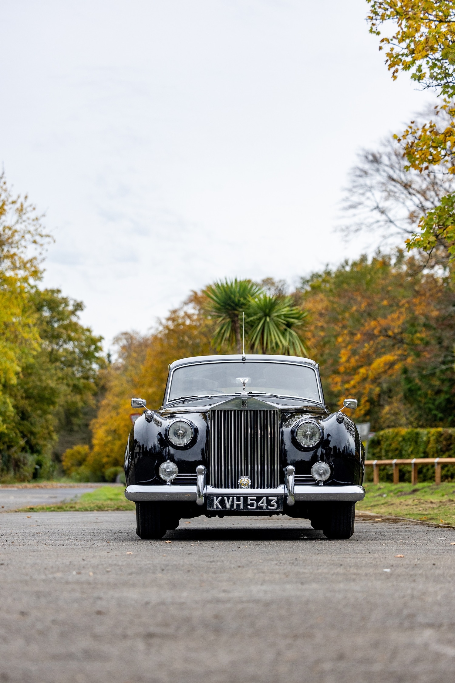 Used Rolls-Royce Silver Cloud 1956 for sale - 76413054: Photo 8