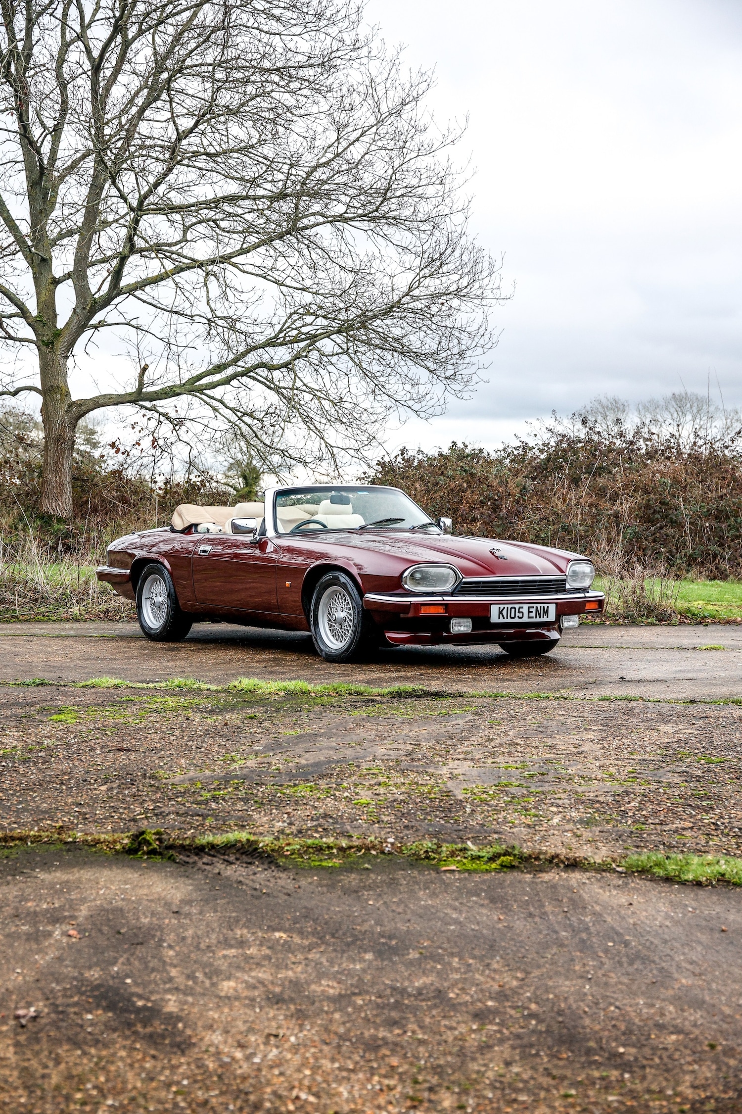 Used Jaguar XJS 2024 for sale - 77589671: Photo 14