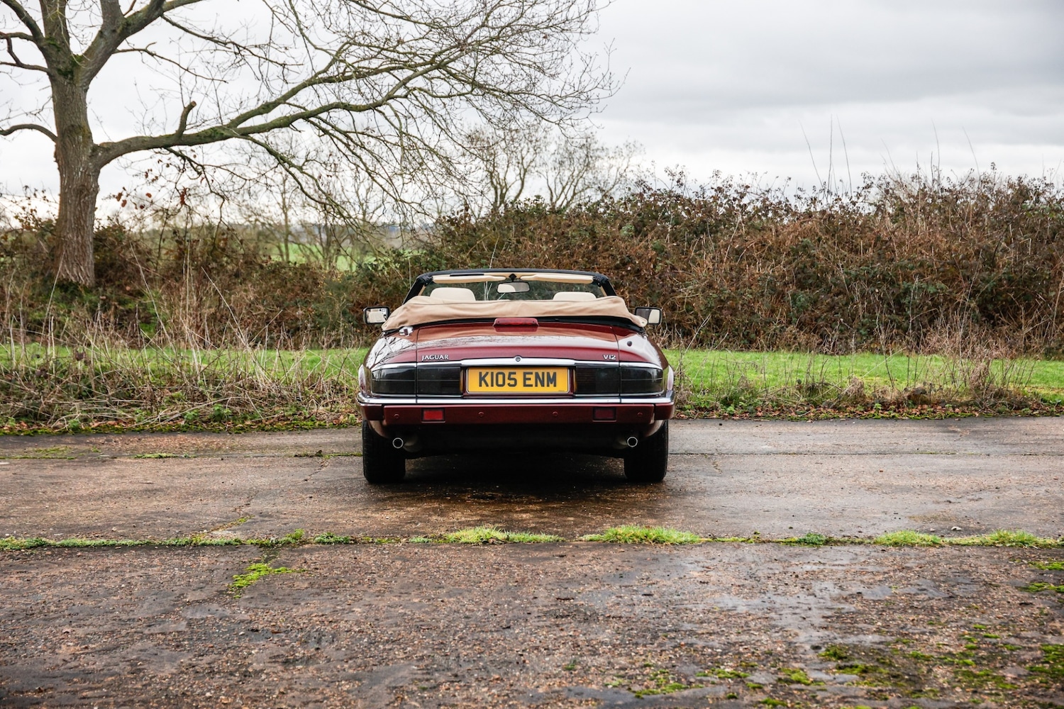 Used Jaguar XJS 2024 for sale - 77589671: Photo 15