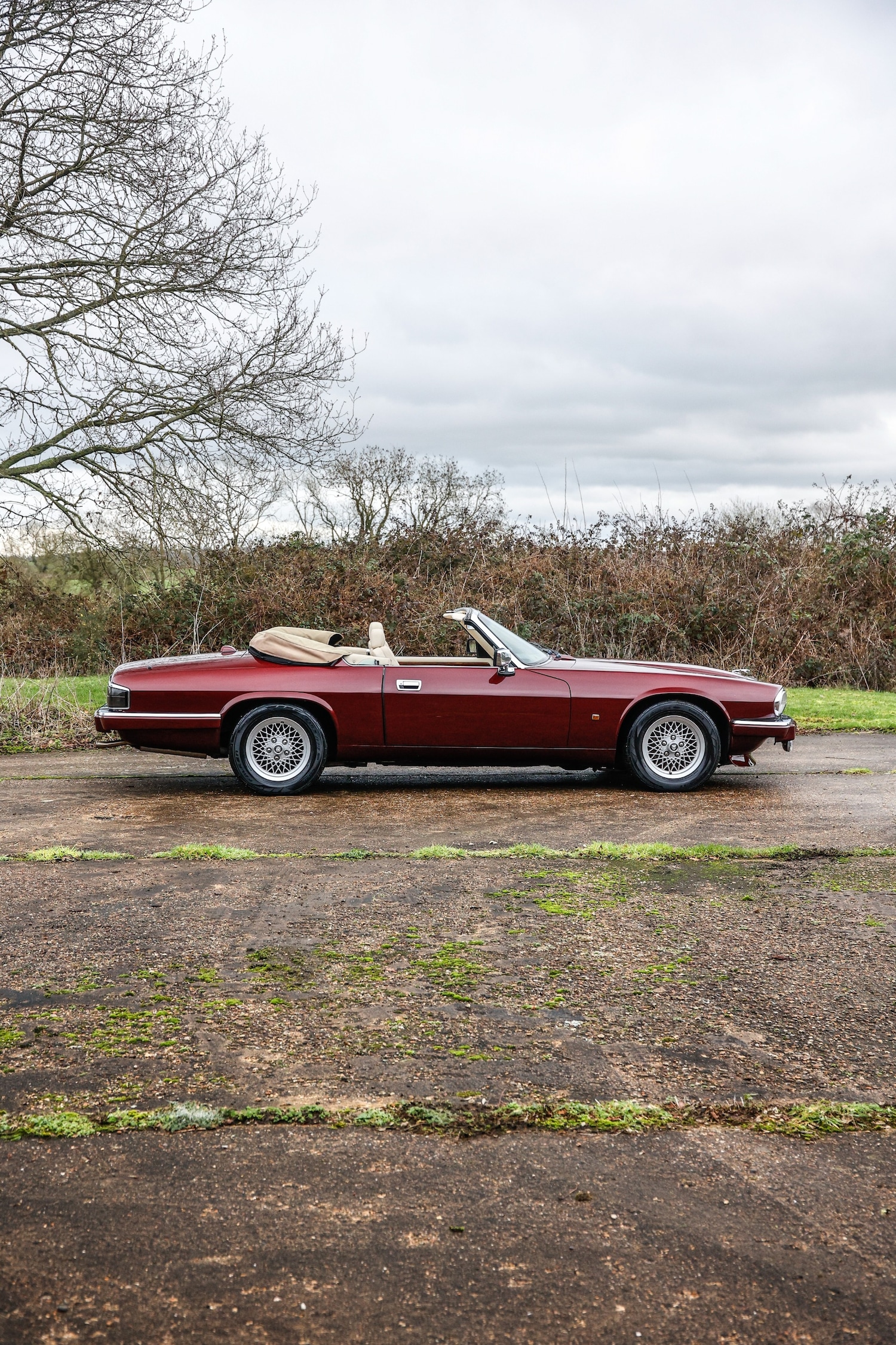 Used Jaguar XJS 2024 for sale - 77589671: Photo 19