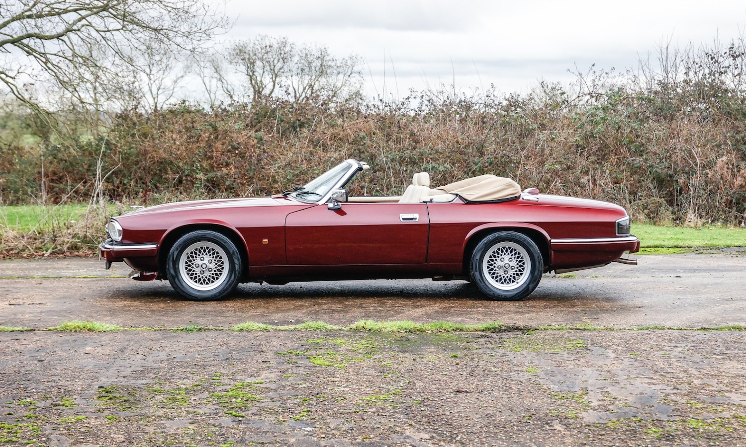 Used Jaguar XJS 2024 for sale - 77589671: Photo 2
