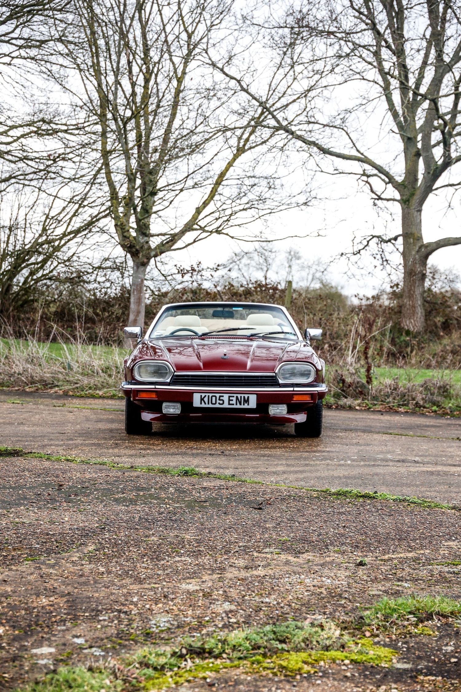 Used Jaguar XJS 2024 for sale - 77589671: Photo 21
