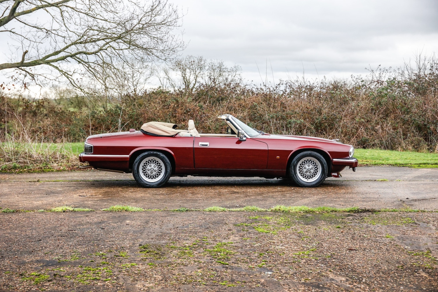 Used Jaguar XJS 2024 for sale - 77589671: Photo 22