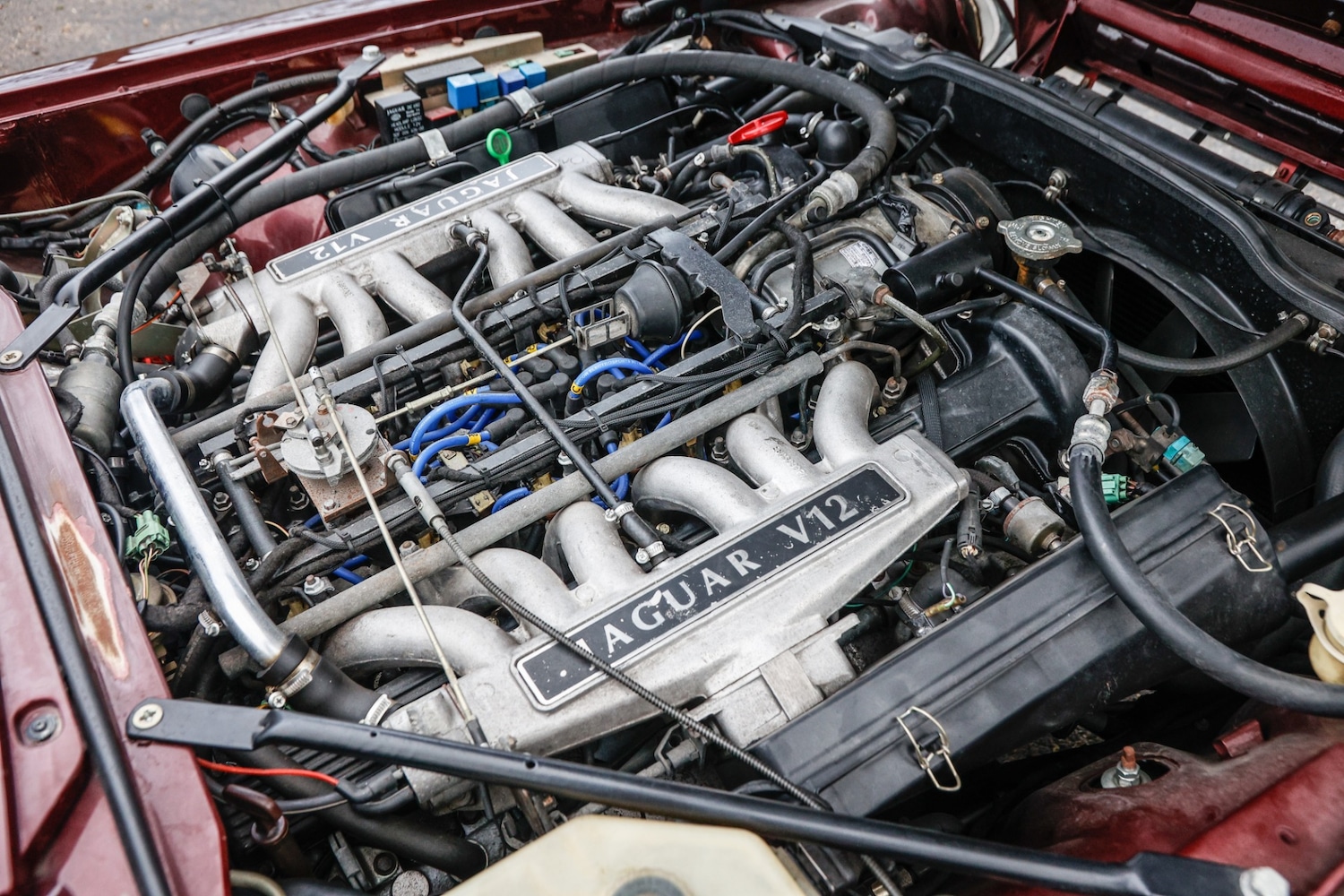 Used Jaguar XJS 2024 for sale - 77589671: Photo 45