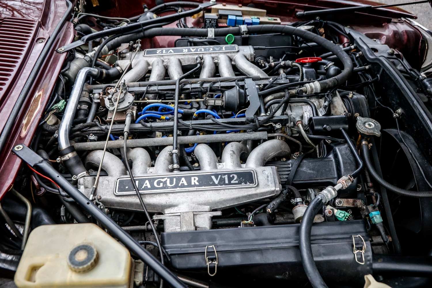 Used Jaguar XJS 2024 for sale - 77589671: Photo 48